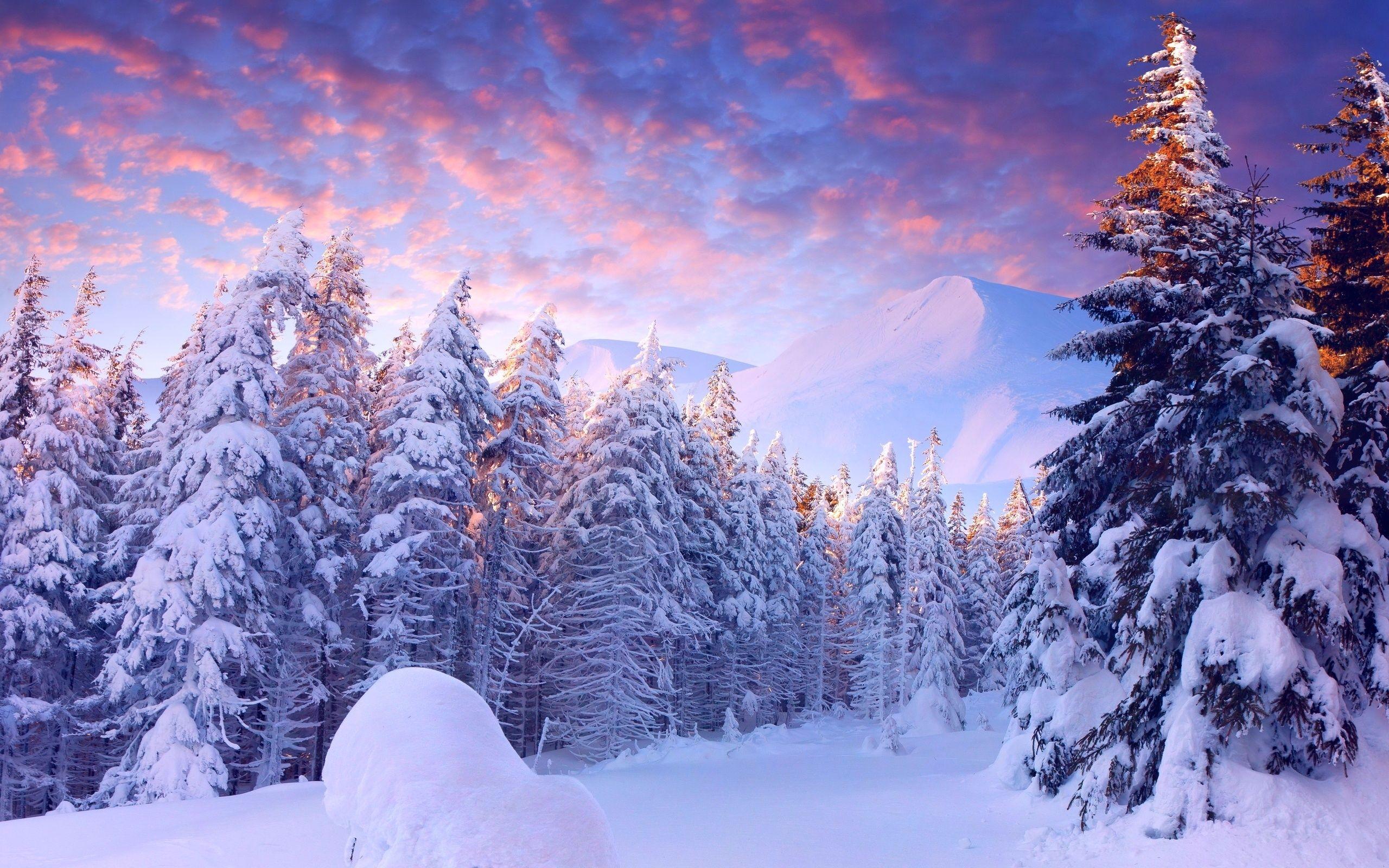 Blurry Winter Wallpapers - Top Free Blurry Winter Backgrounds ...