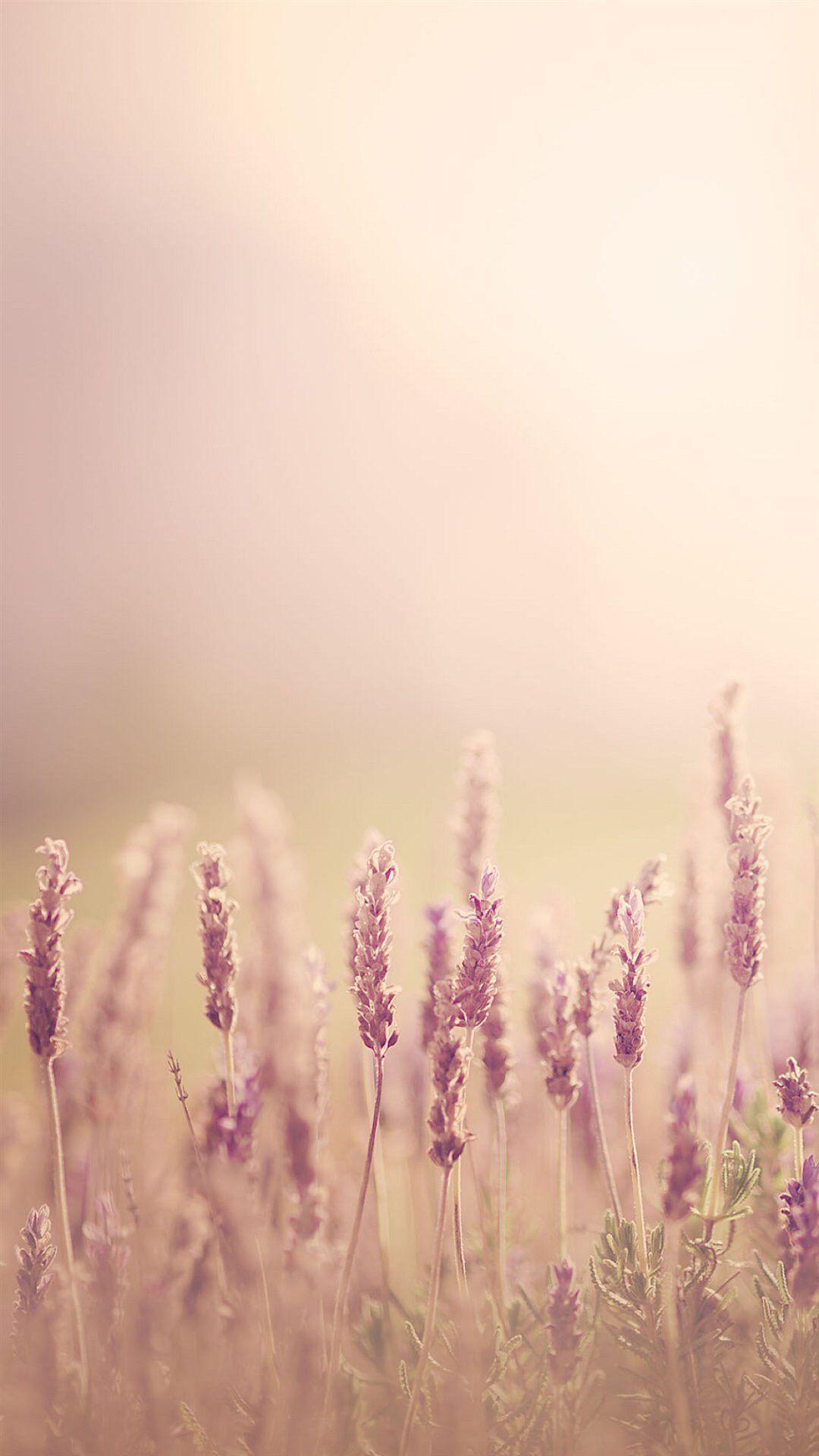 1080x1920 Pure Blurry Land Bokeh #iPhone .com