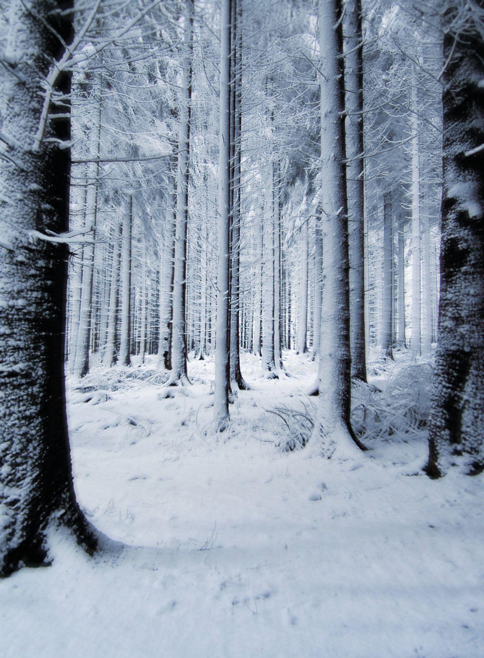 1600x2171 Blurred snow phone wallpaper picture .