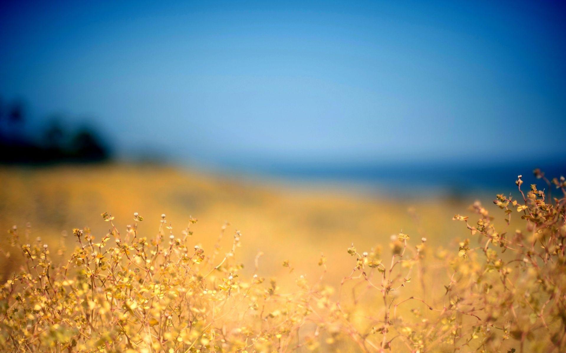 1920x1200 Wonderful HD Summer Wallpaperblog.