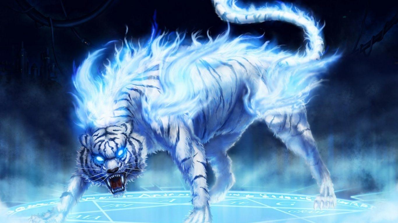1366x768 White Tiger, Beautiful Tiger, Hd Tiger .paper Lab.