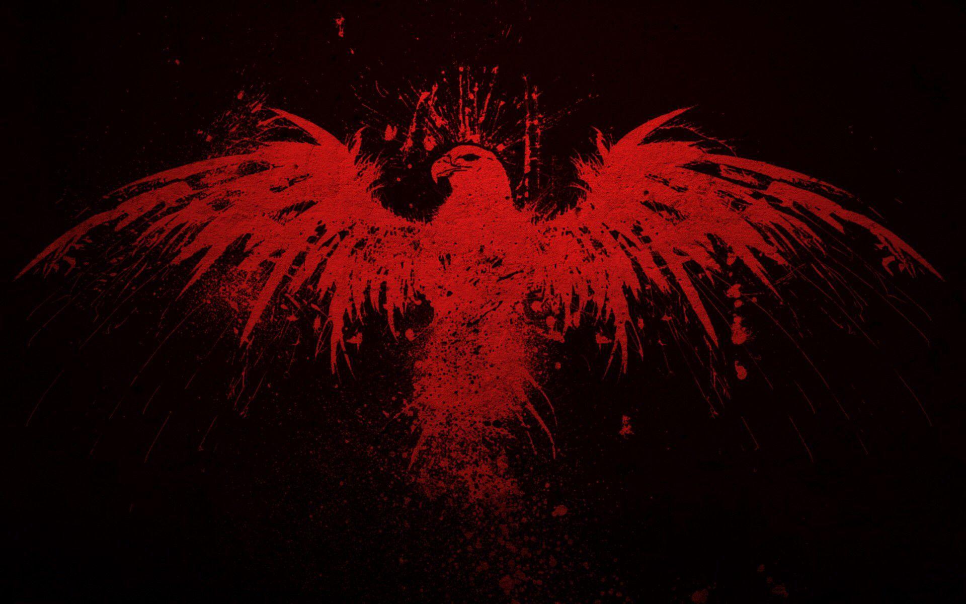 Eagle Black and White Wallpapers Top Free Eagle Black and White Backgrounds WallpaperAccess