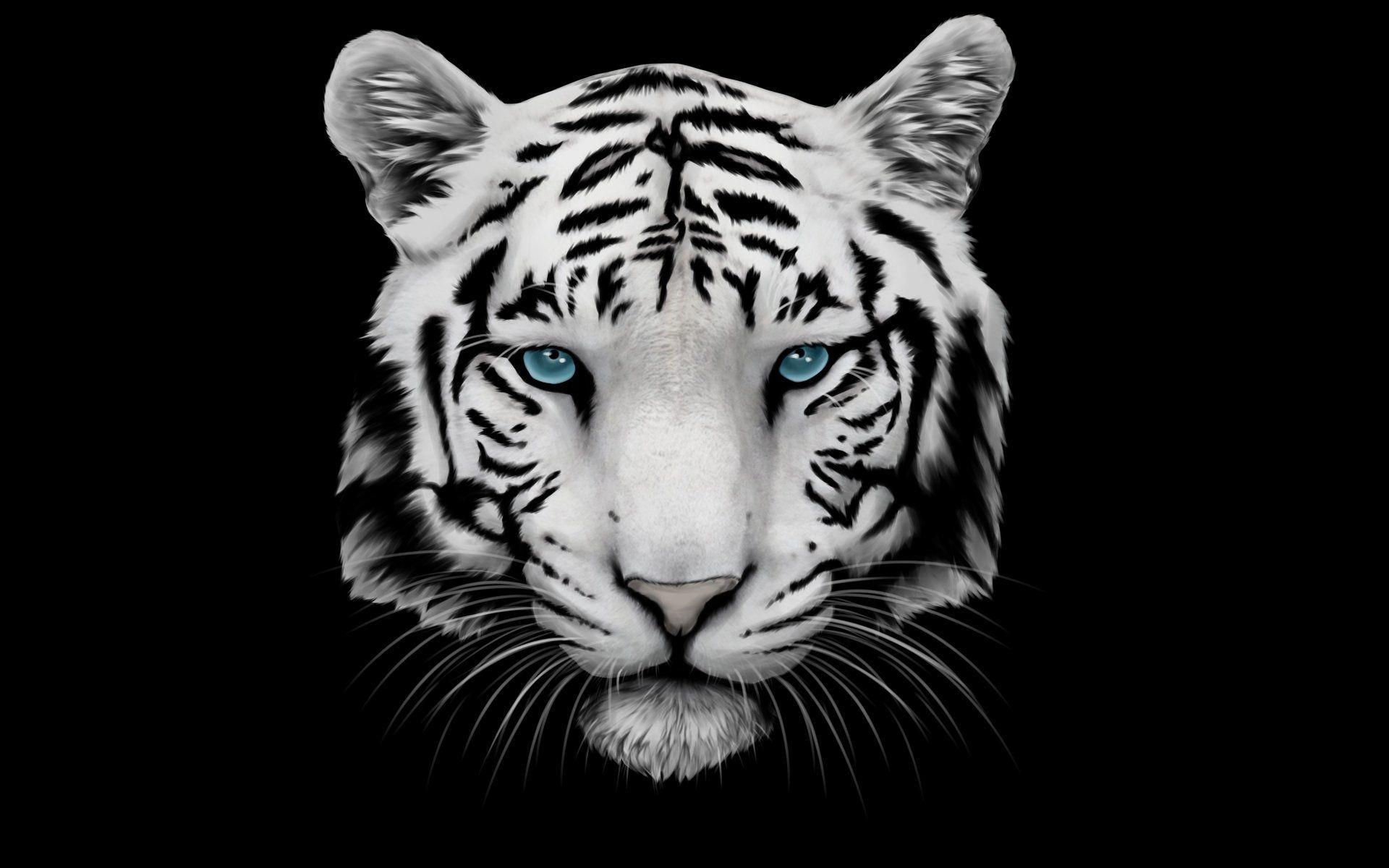 1920x1200 Wallpaper White Tigers
