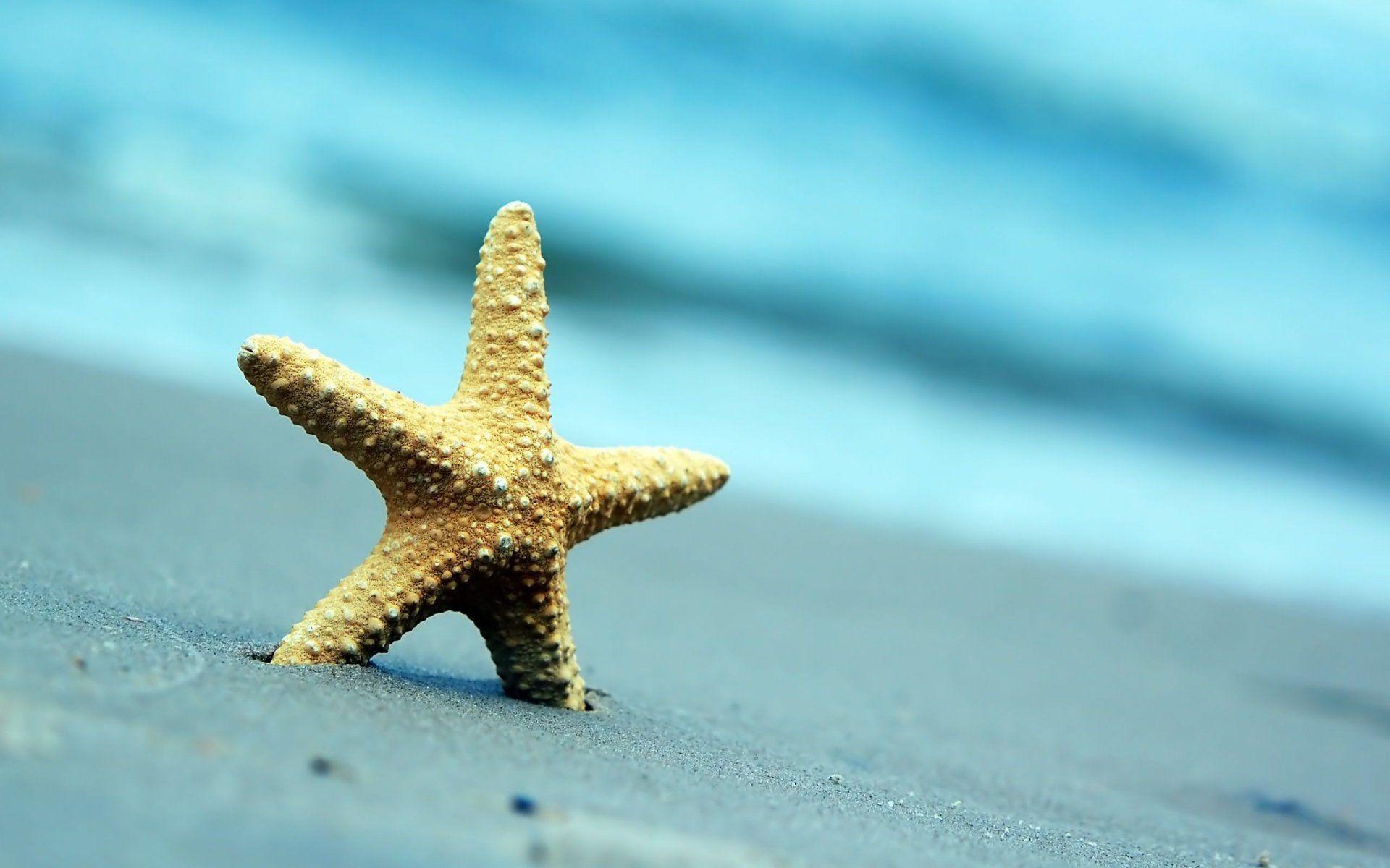1920x1200 Blur HD Wallpaper Group Wallpaper