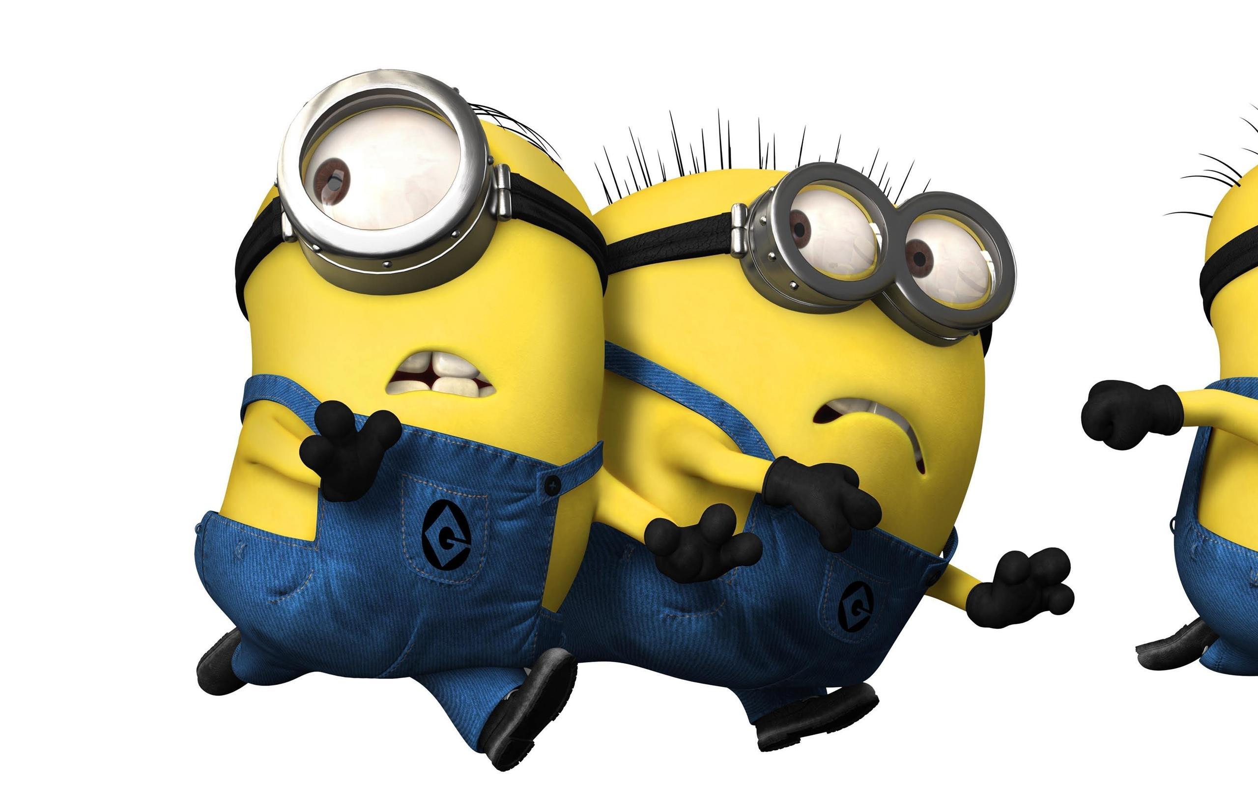 2560x1600 Despicable Me Minions Wallpaper .wallpaper