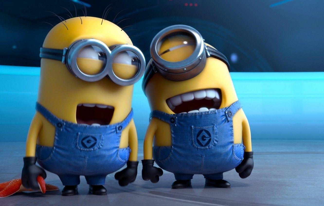 1332x850 Wallpaper cartoon, laughter, starfish .