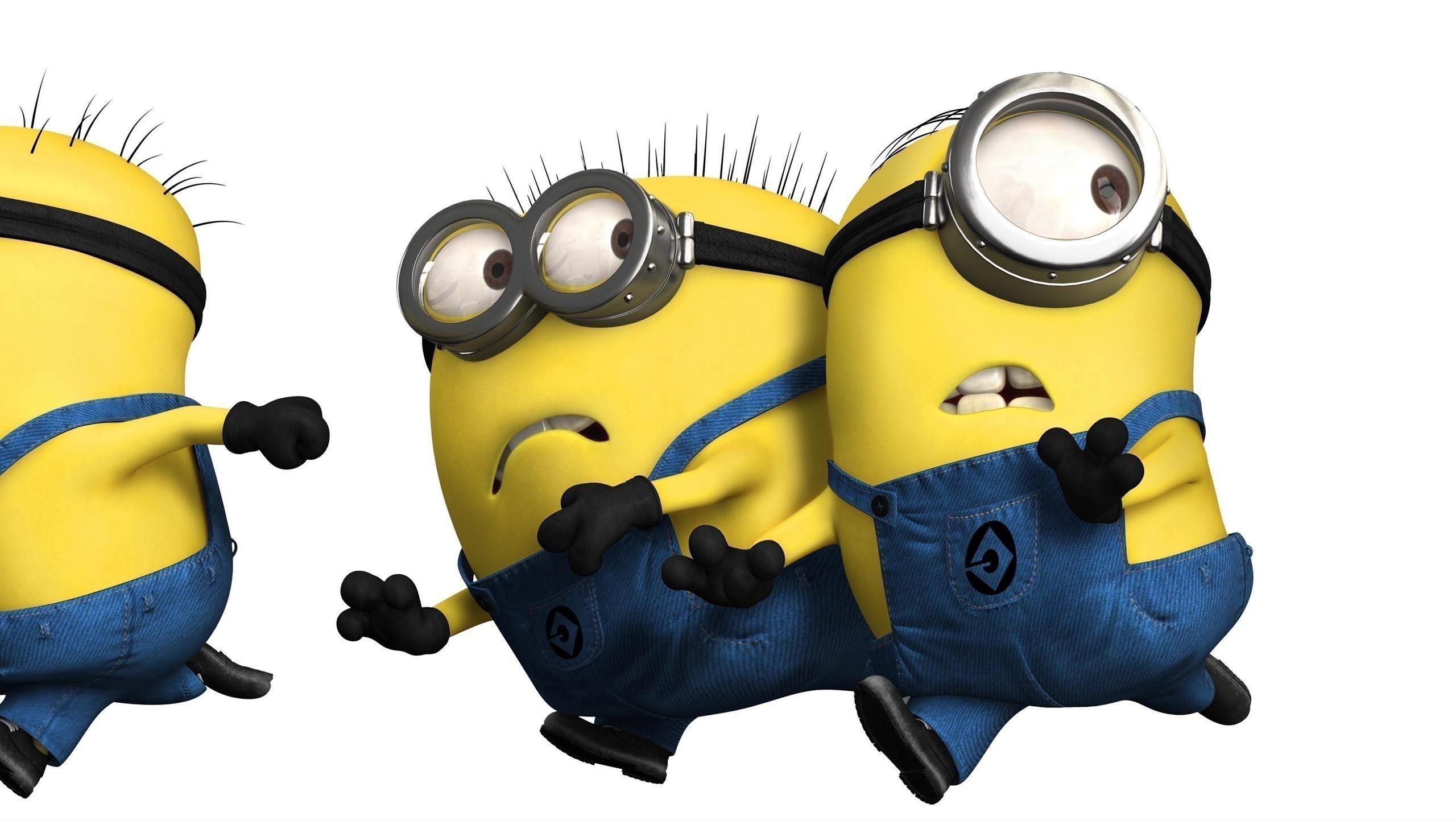 2560x1441 Funny Minion Wallpaper HD free .