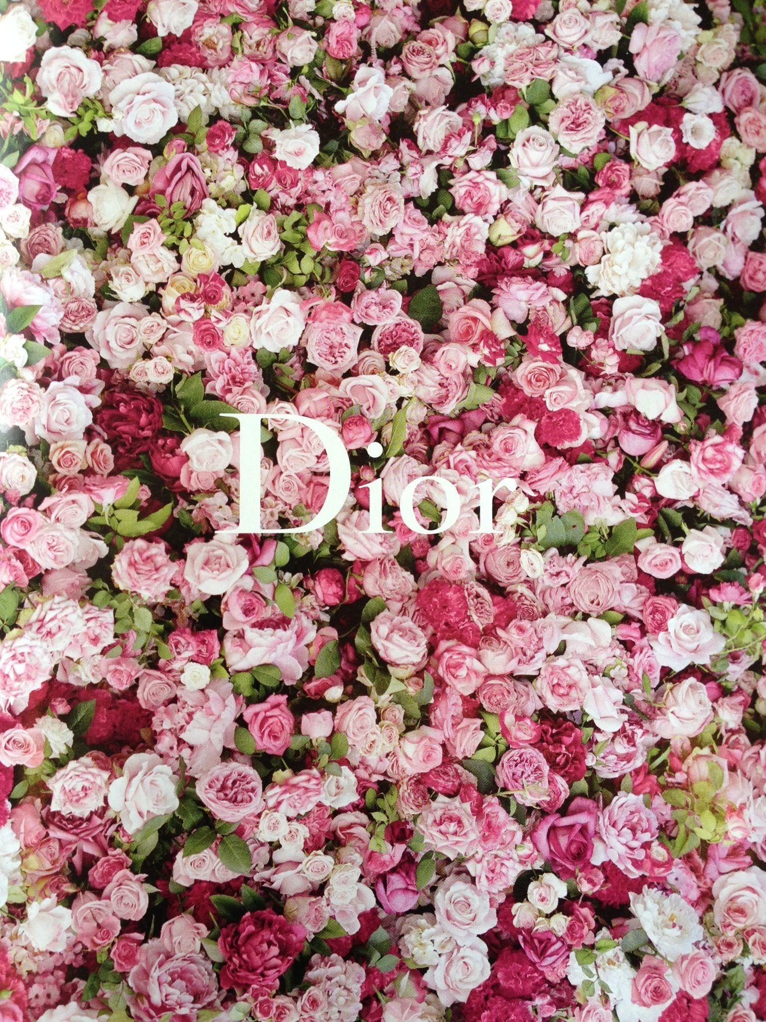Dior Wallpapers  Top Những Hình Ảnh Đẹp