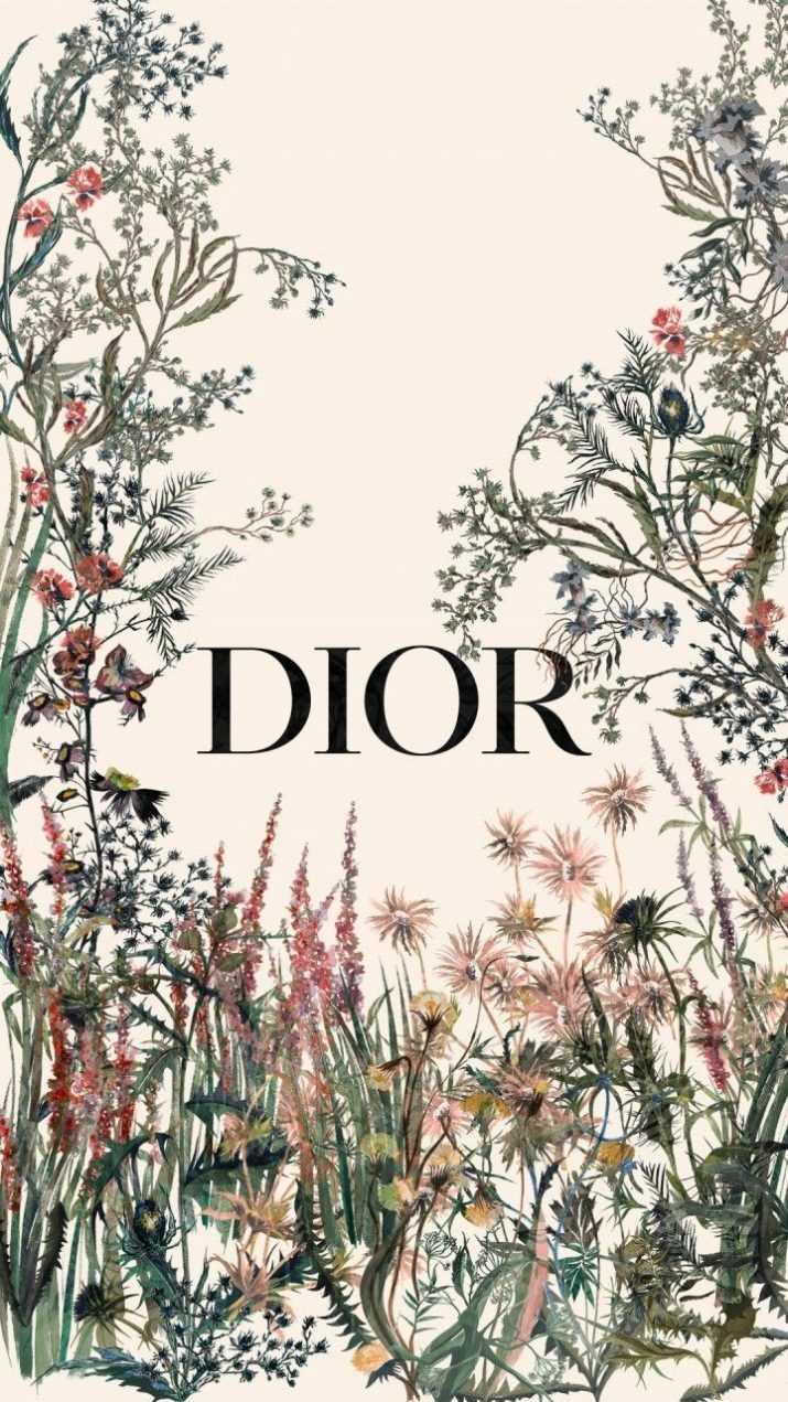 715x1271 Dior Wallpaper Free HD Wallpaper