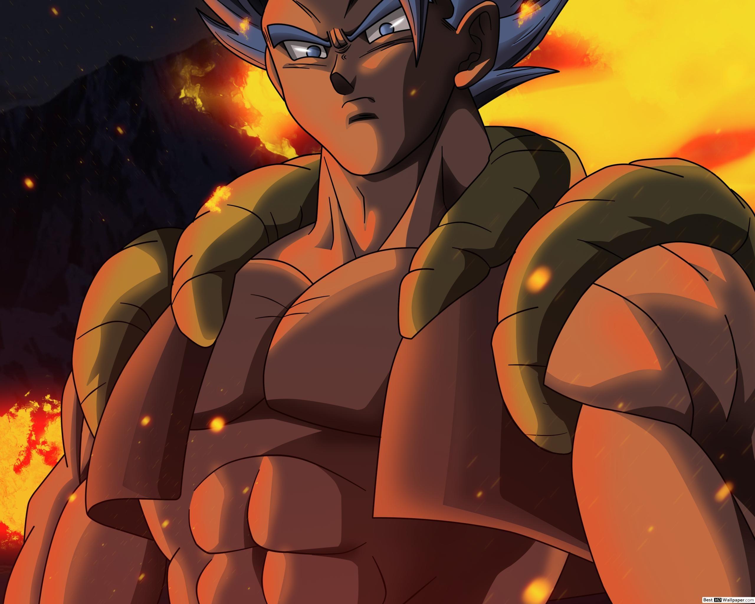 2560x2048 Gogeta Wallpaper 4k