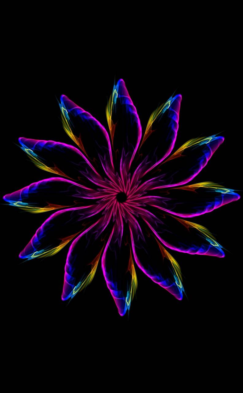 792x1280 Neon Flower wallpaper by .