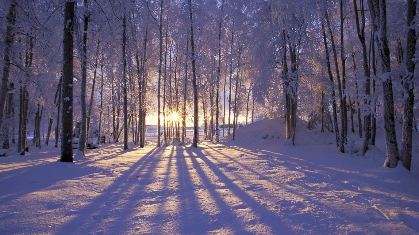 1366x768 Winter Laptop Background Resolution Snow Landscape