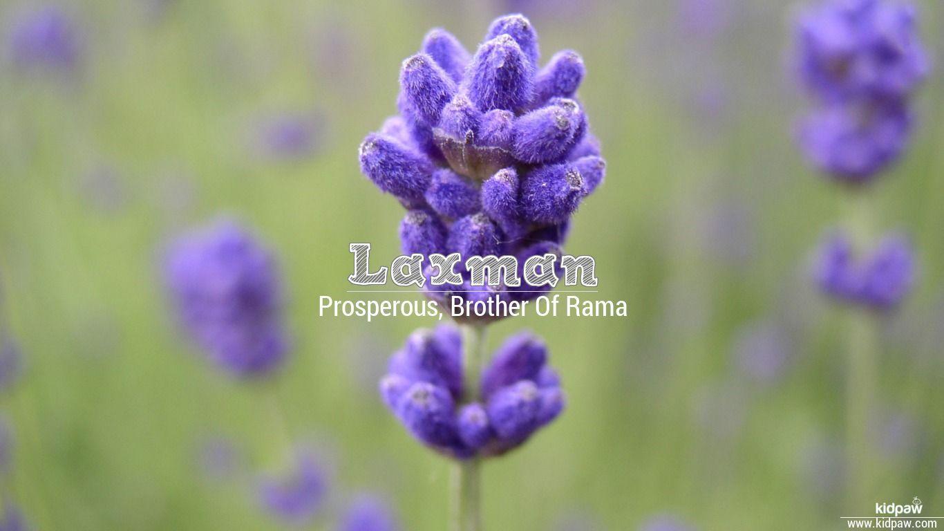 1366x768 Laxman 3D Name Wallpaper for Mobile .