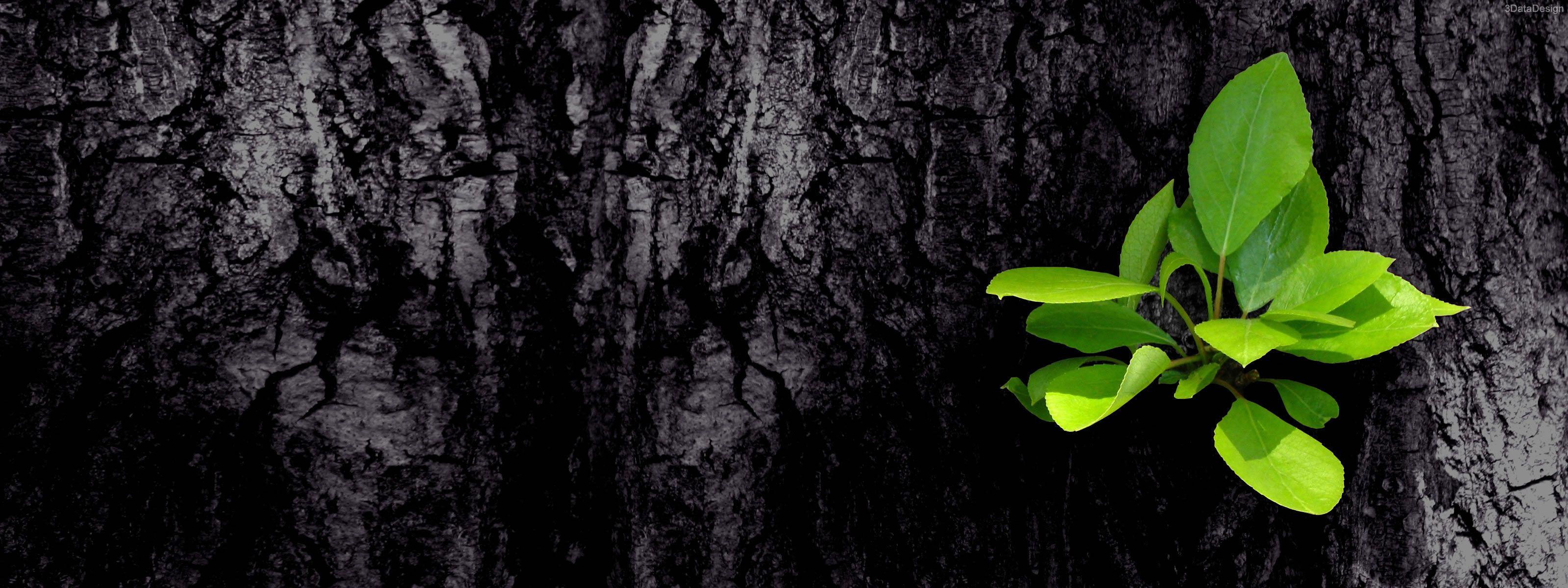3200x1200 Dual Background Free