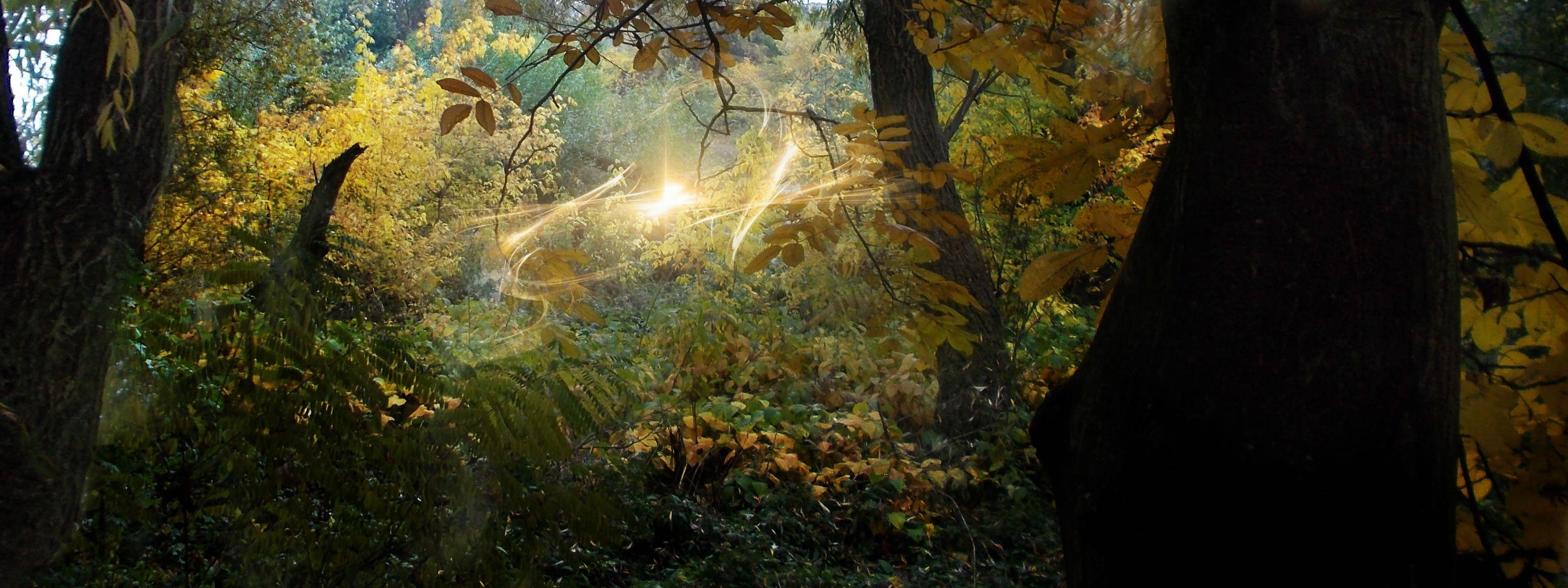 3200x1200 dual HD wallpaper the forest, autumn lights under dual