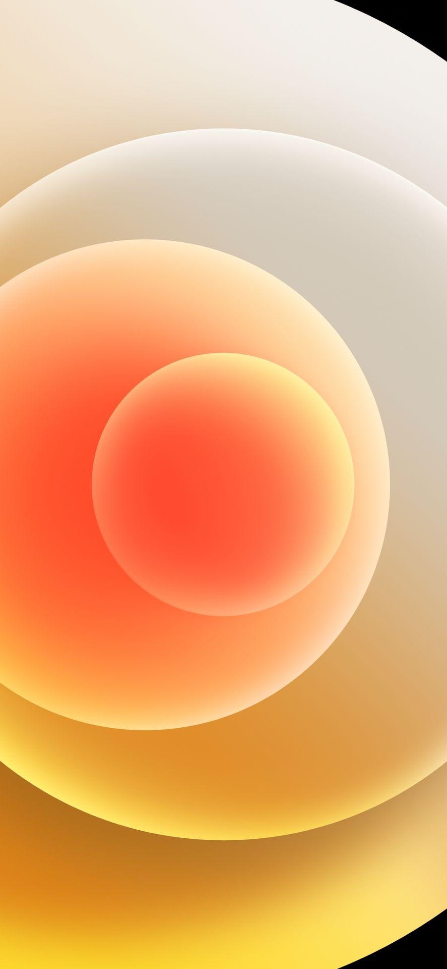 887x1920 Download the iPhone 12 wallpaper here (They work for Android, too!)