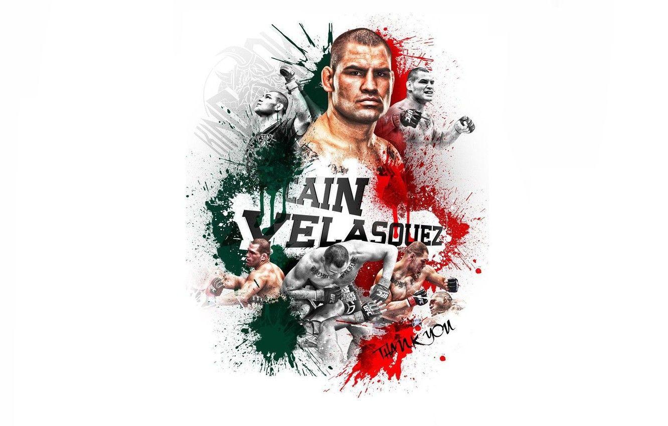 1332x850 Wallpaper white background, fighter, fighter, champion, mma, ufc, Cain Velasquez, Cain Velasquez image for desktop, section спорт