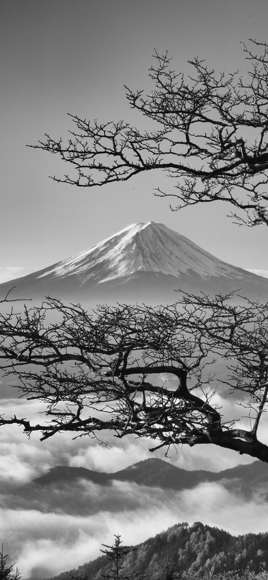 Japanese Apple Wallpapers Top Free Japanese Apple Backgrounds
