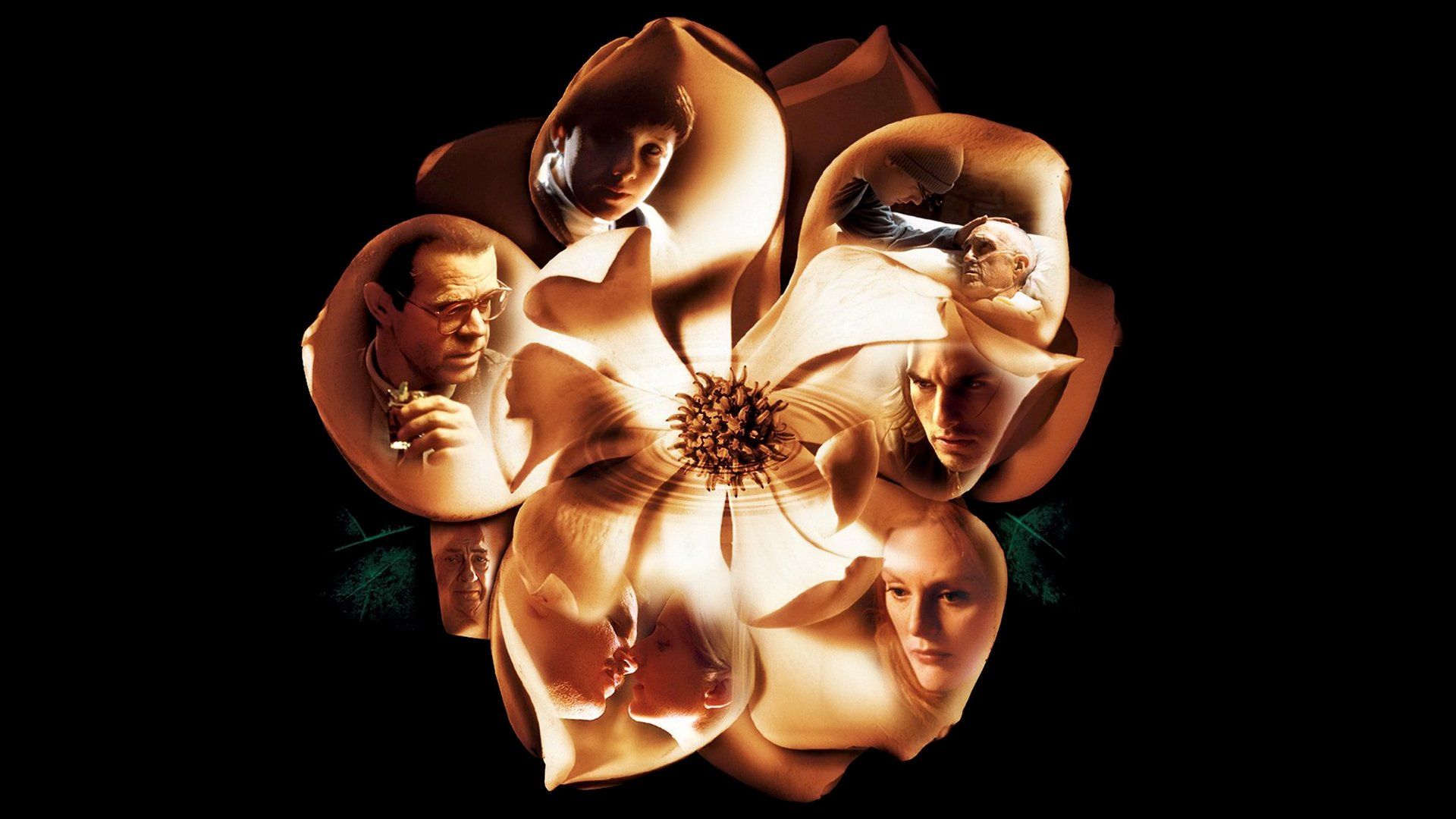 1920x1080 Download Movie Magnolia HD Wallpaperx1080