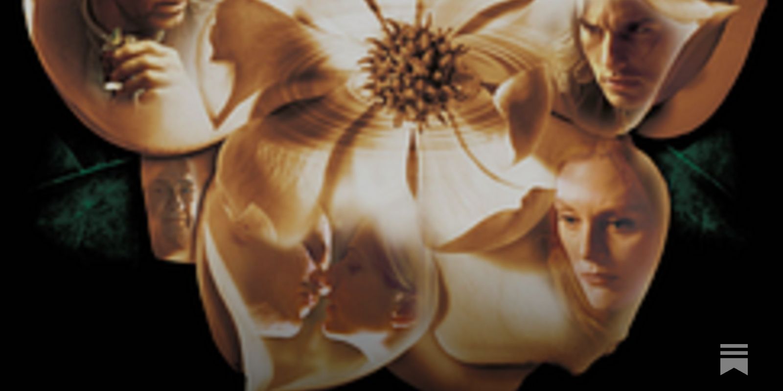 1600x800 no, life isn't short Shannon K. Evans