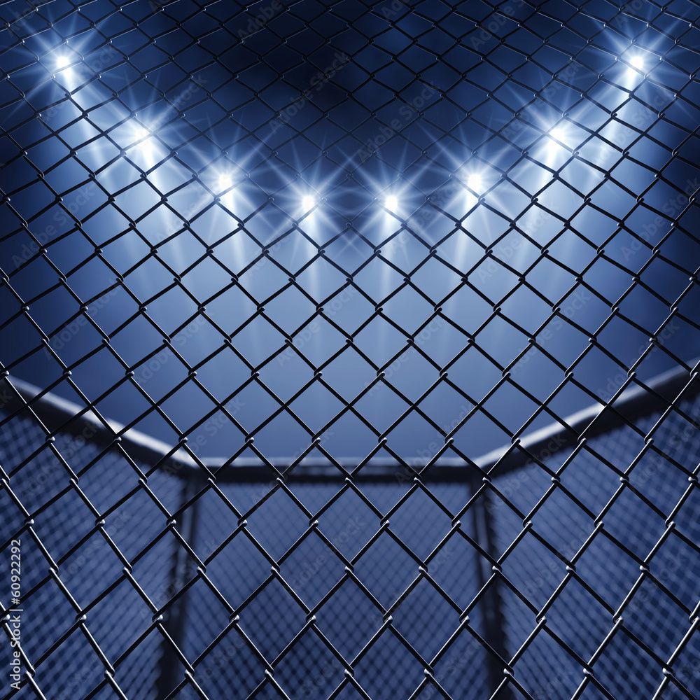 1000x1000 Photography Poster MMA cage and floodlights