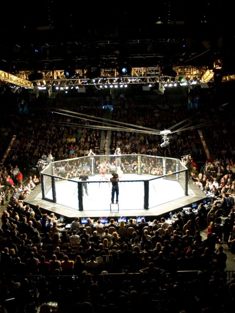 768x1024 UFC Cage Wallpaper