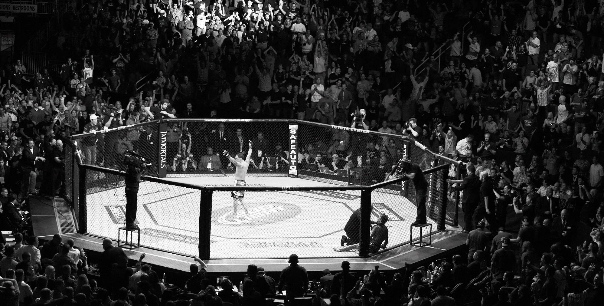 1997x1011 UFC Cage Wallpaper