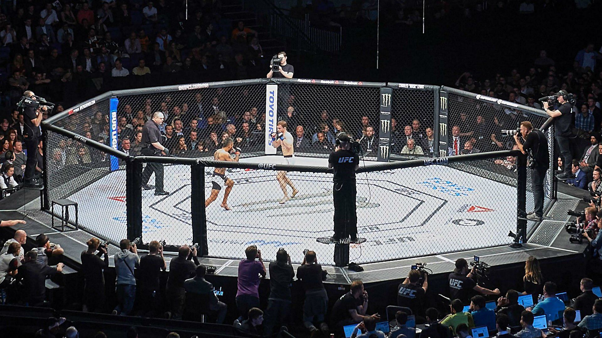 1920x1080 UFC Cage Wallpaper