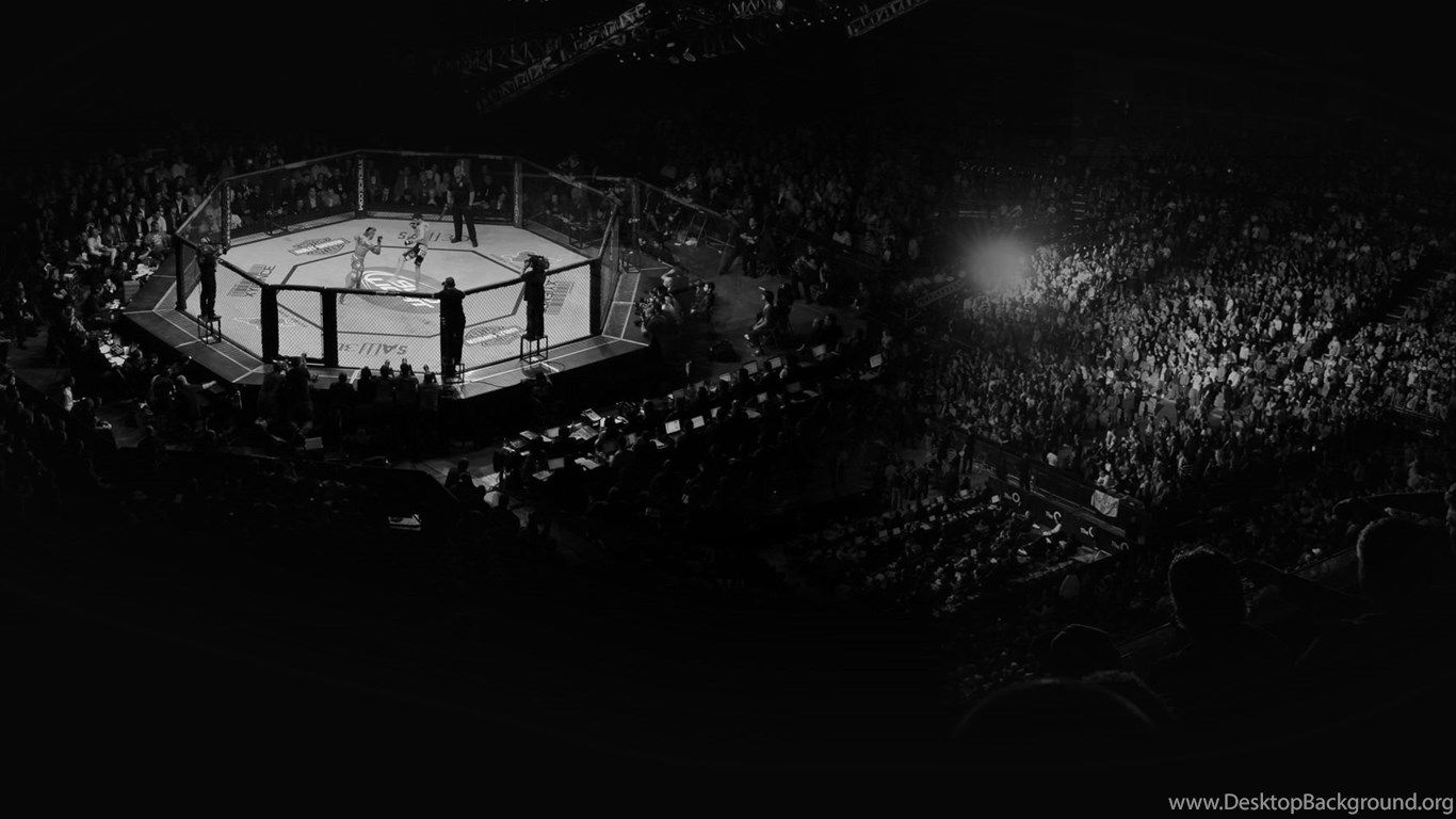 1366x768 UFC Cage Wallpaper