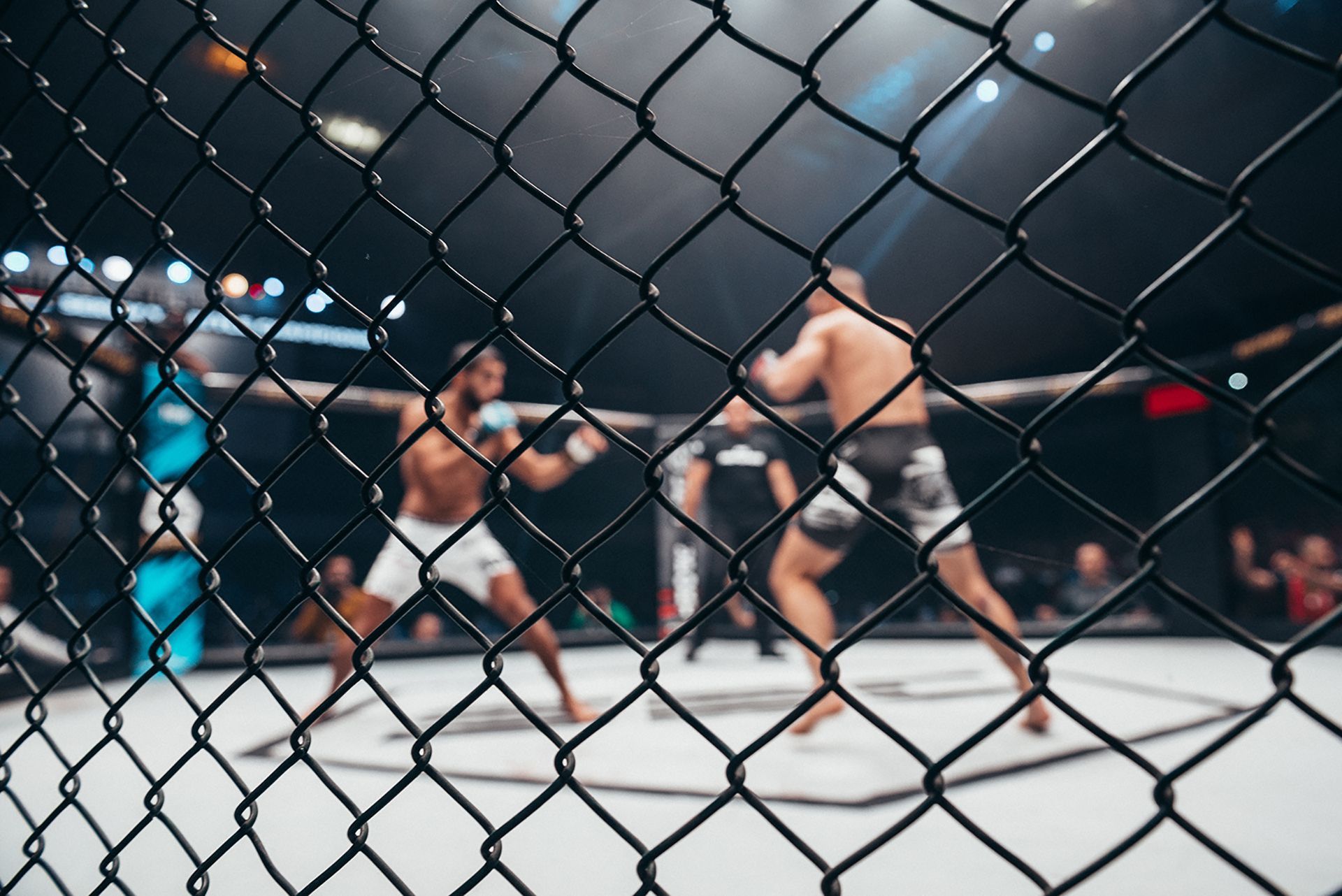 1920x1282 Mixed martial arts (MMA). UFC, Fighting Styles, Boxing, Techniques, & Facts