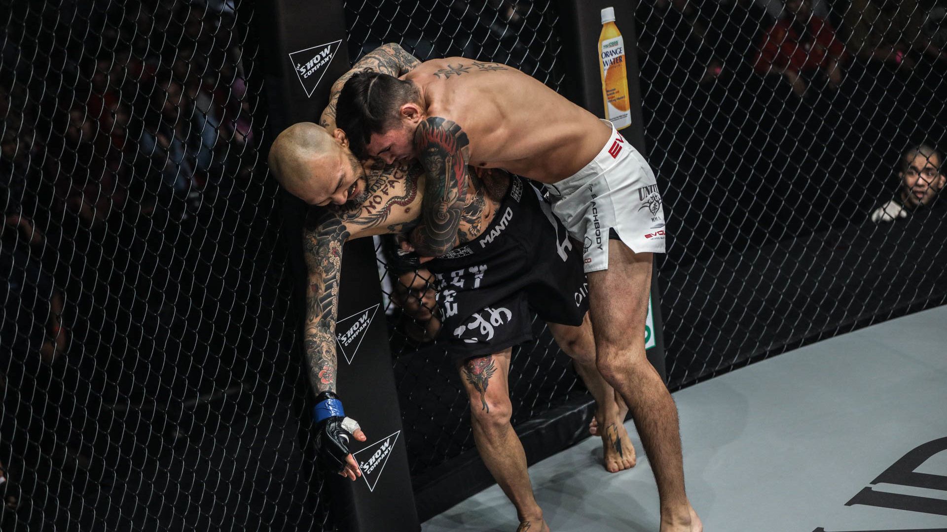 1920x1080 Here's What You Need To Know About Using The Cage In MMA