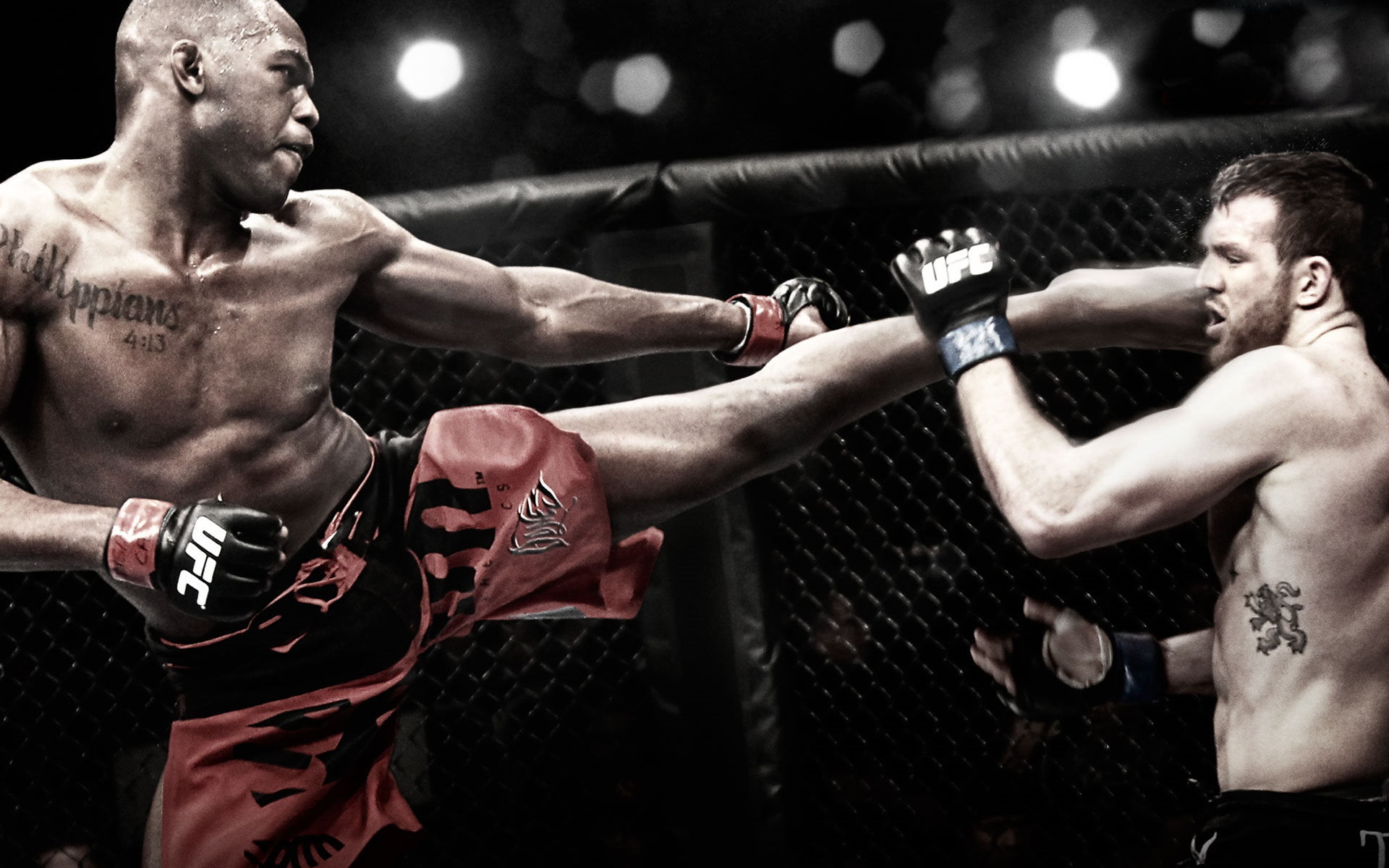 1920x1200 Two UFC fighter fighting HD wallpaper