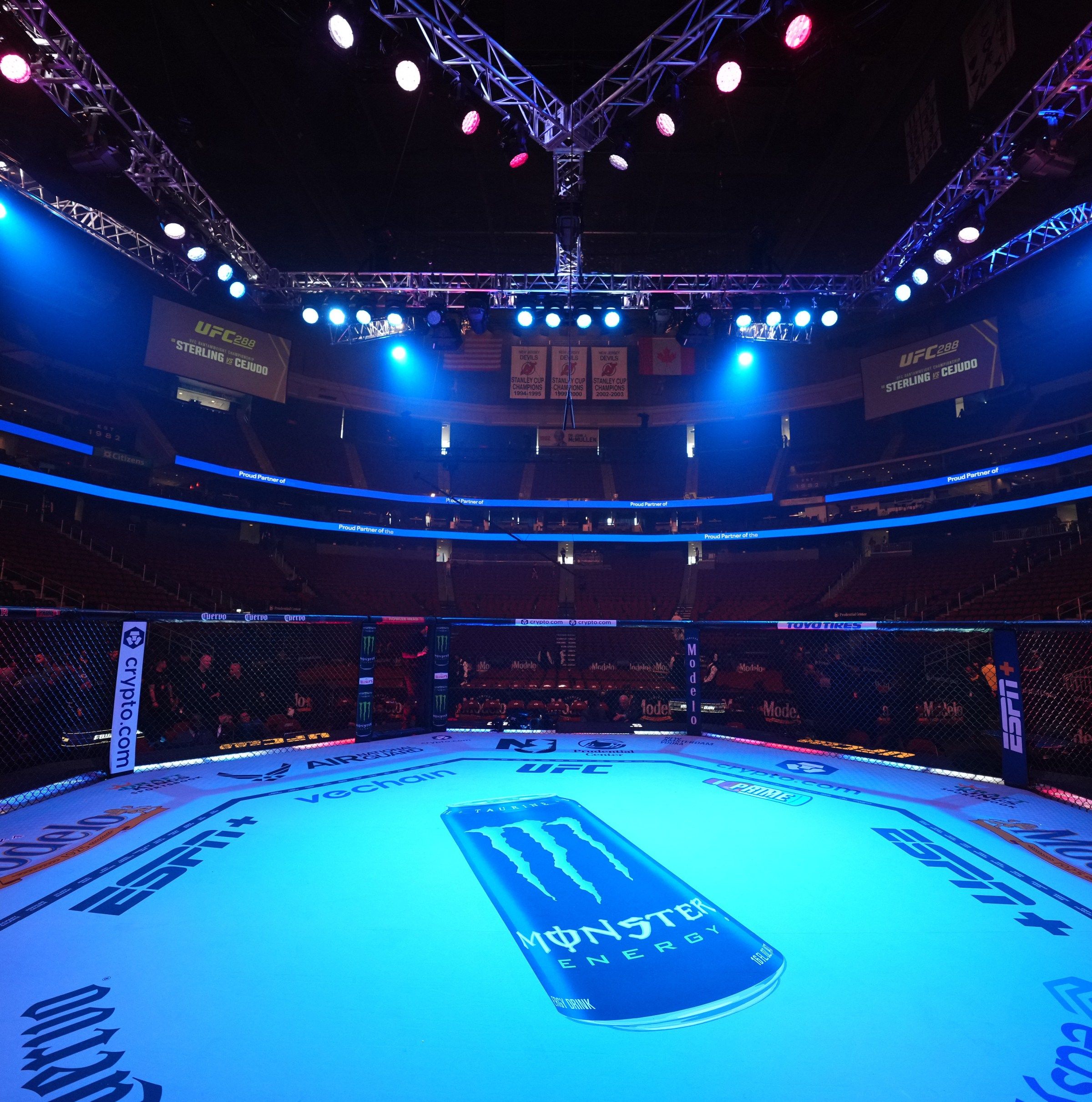 2400x2423 MMA Fighting