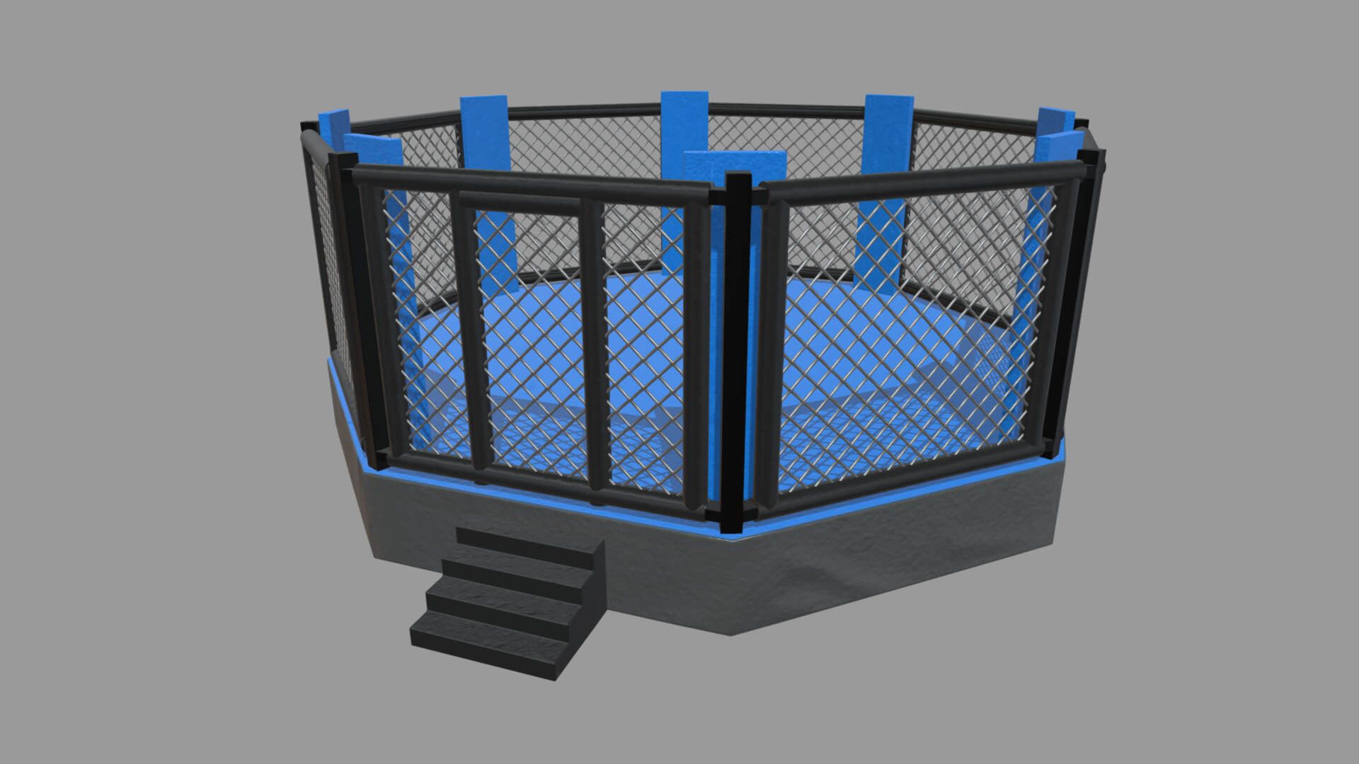 1920x1080 Octagon MMA Cage
