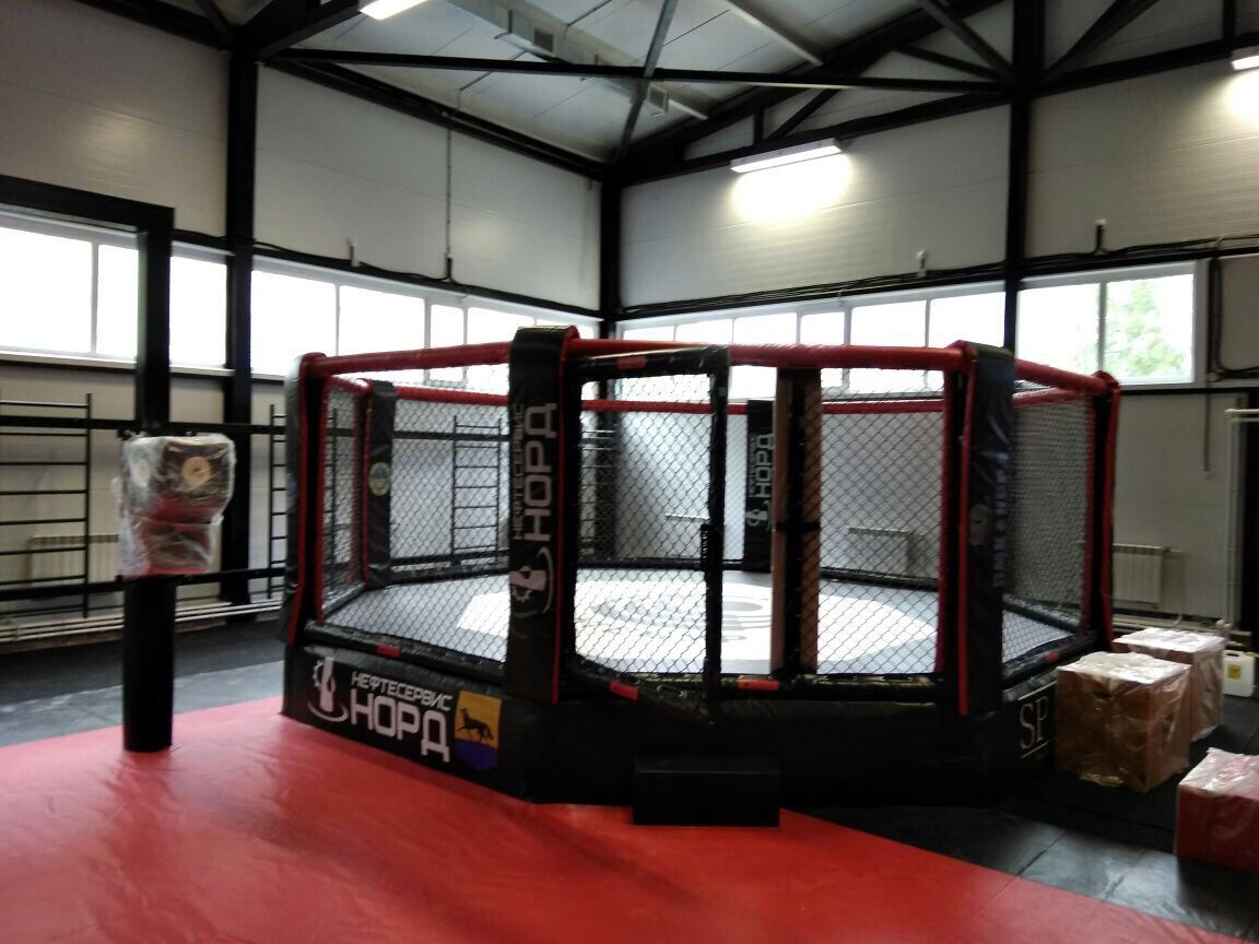 1152x864 MMA cage (diameter 6m, podium height 0.5 m) купить от производителя SPARTA
