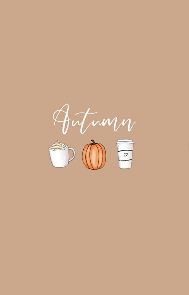 800x1249 HD pumpkin spice wallpaper
