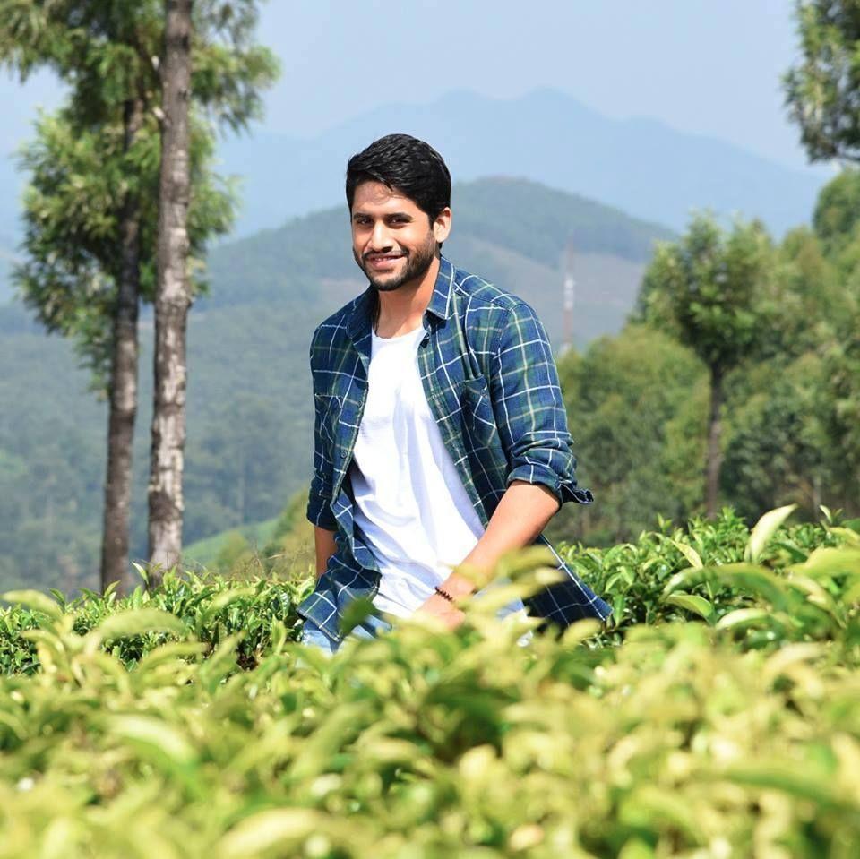 960x959 Naga Chaitanya Wallpaper