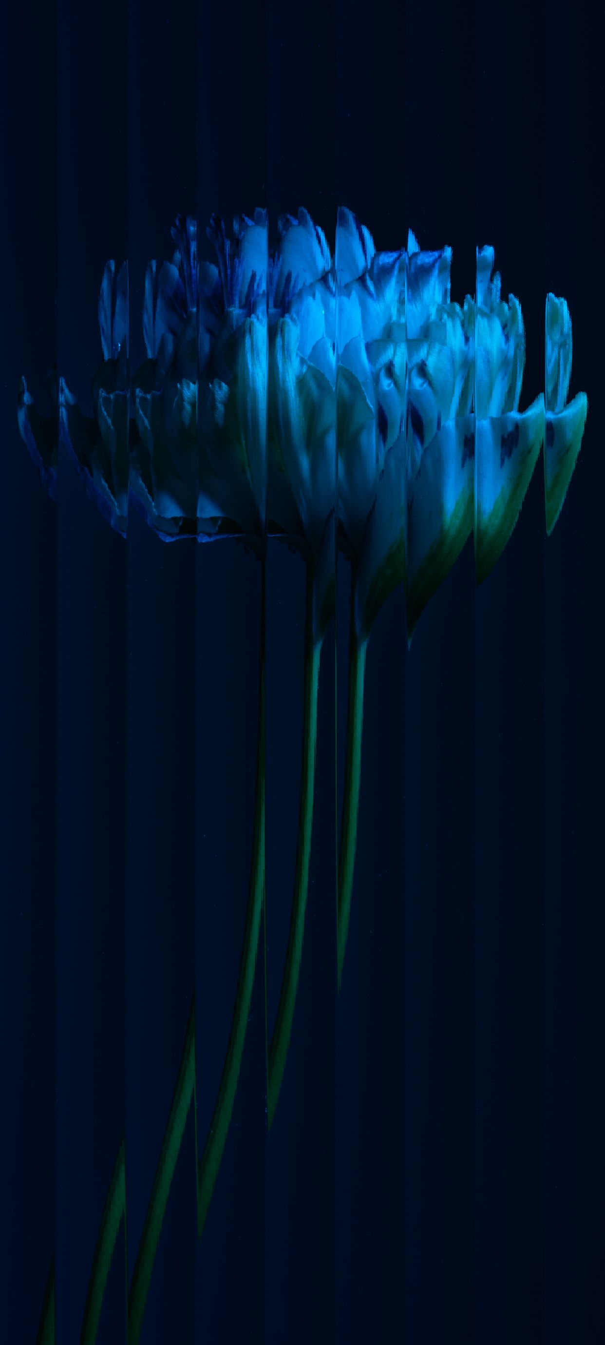 1242x2760 Nothing Phone 1 Alternative Wallpaper