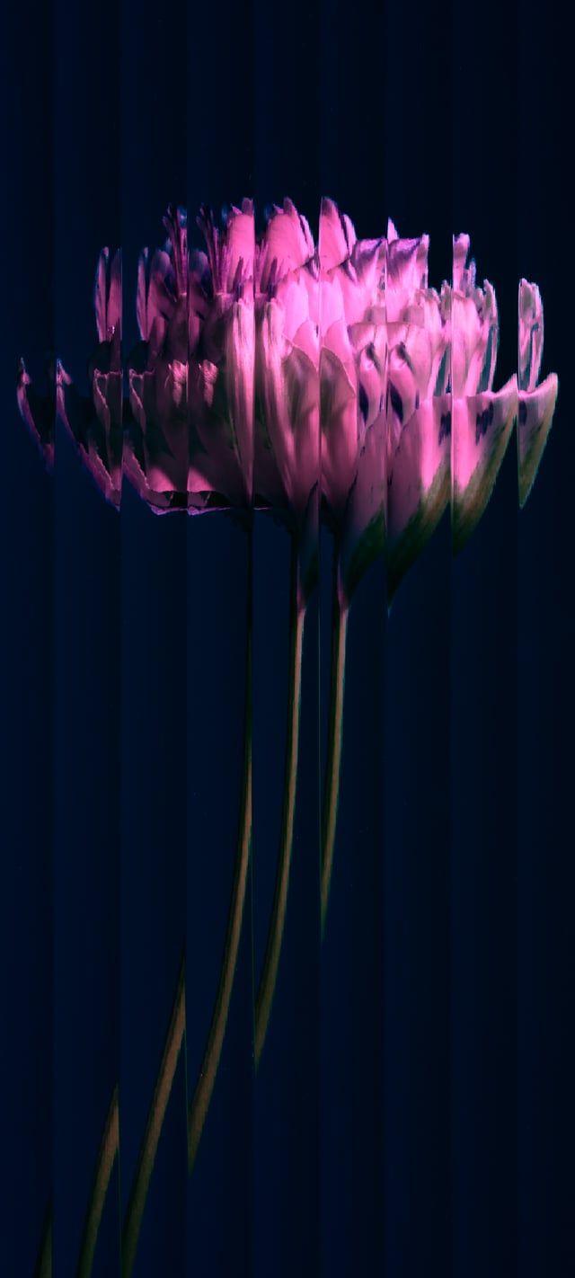 640x1422 Nothing Phone 1 Alternative Wallpaper
