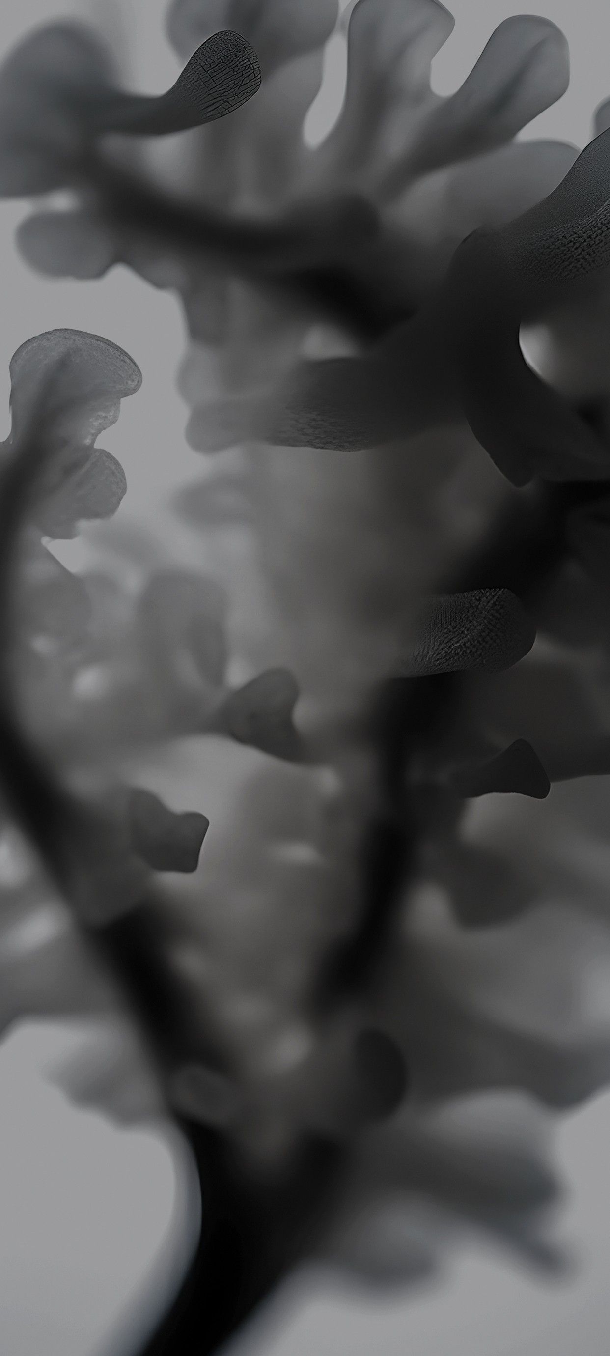 1242x2760 Nothing Phone Wallpaper