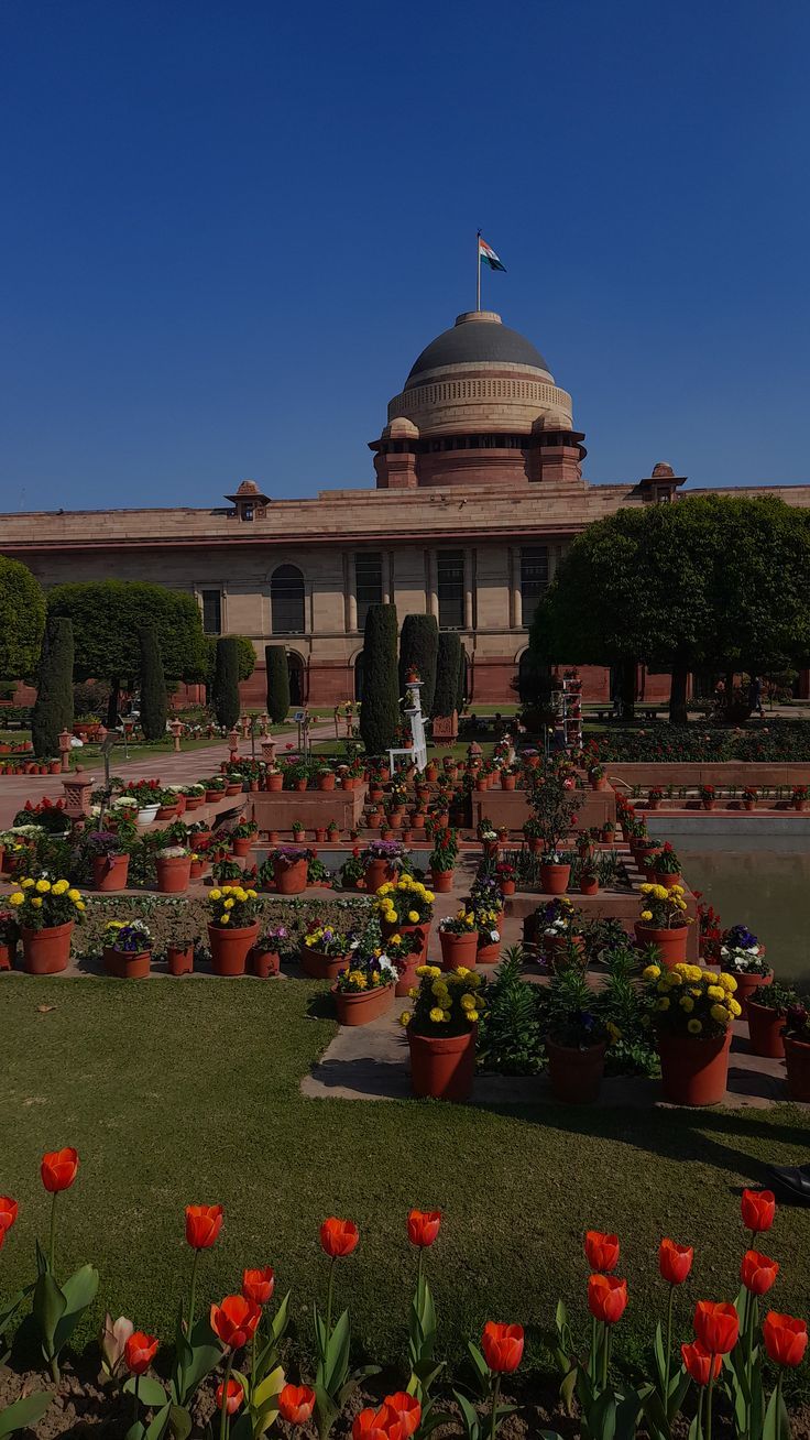 736x1308 Rashtrapati Bhawan