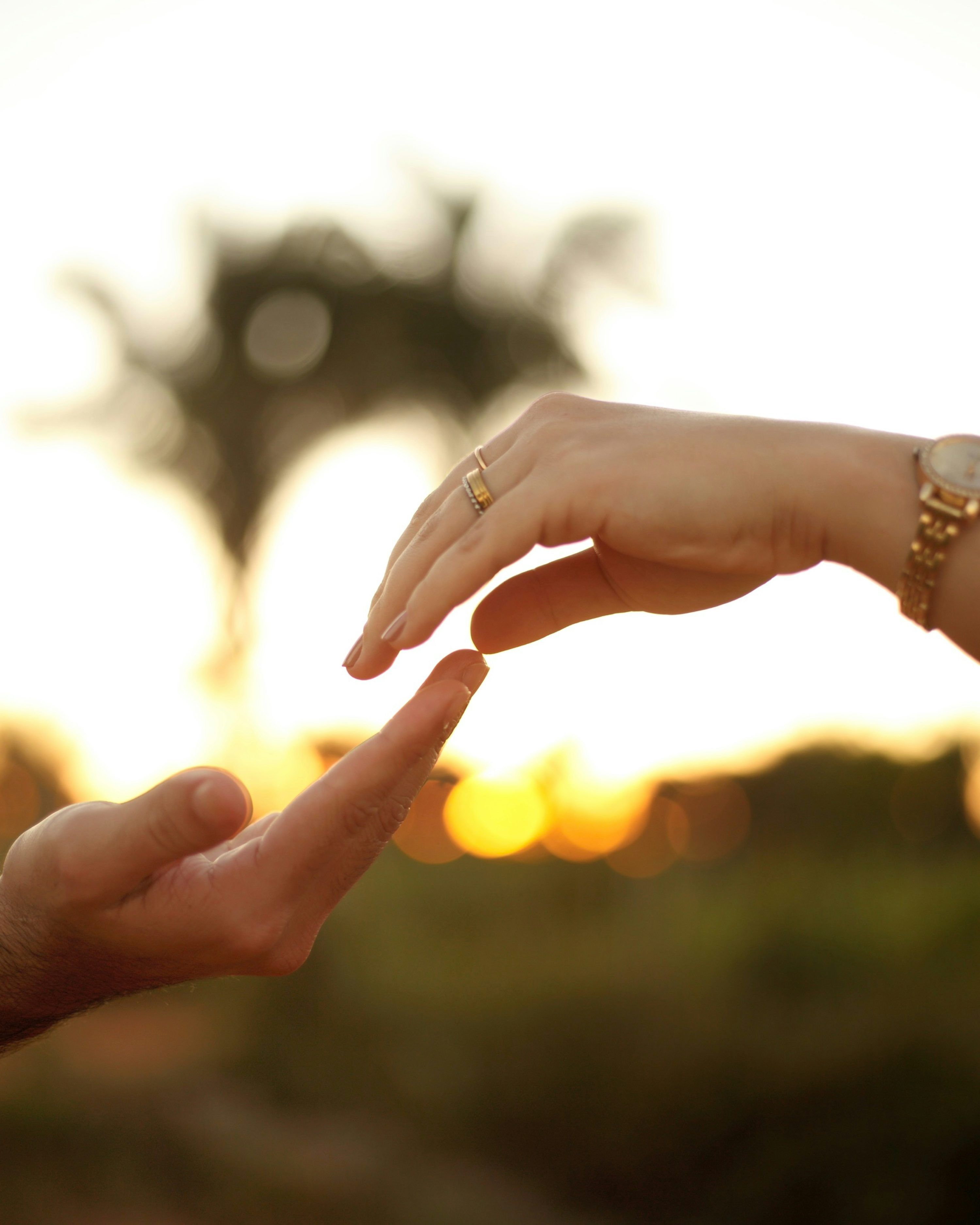 3000x3750 Couple's hands touching, showcasing connection and love