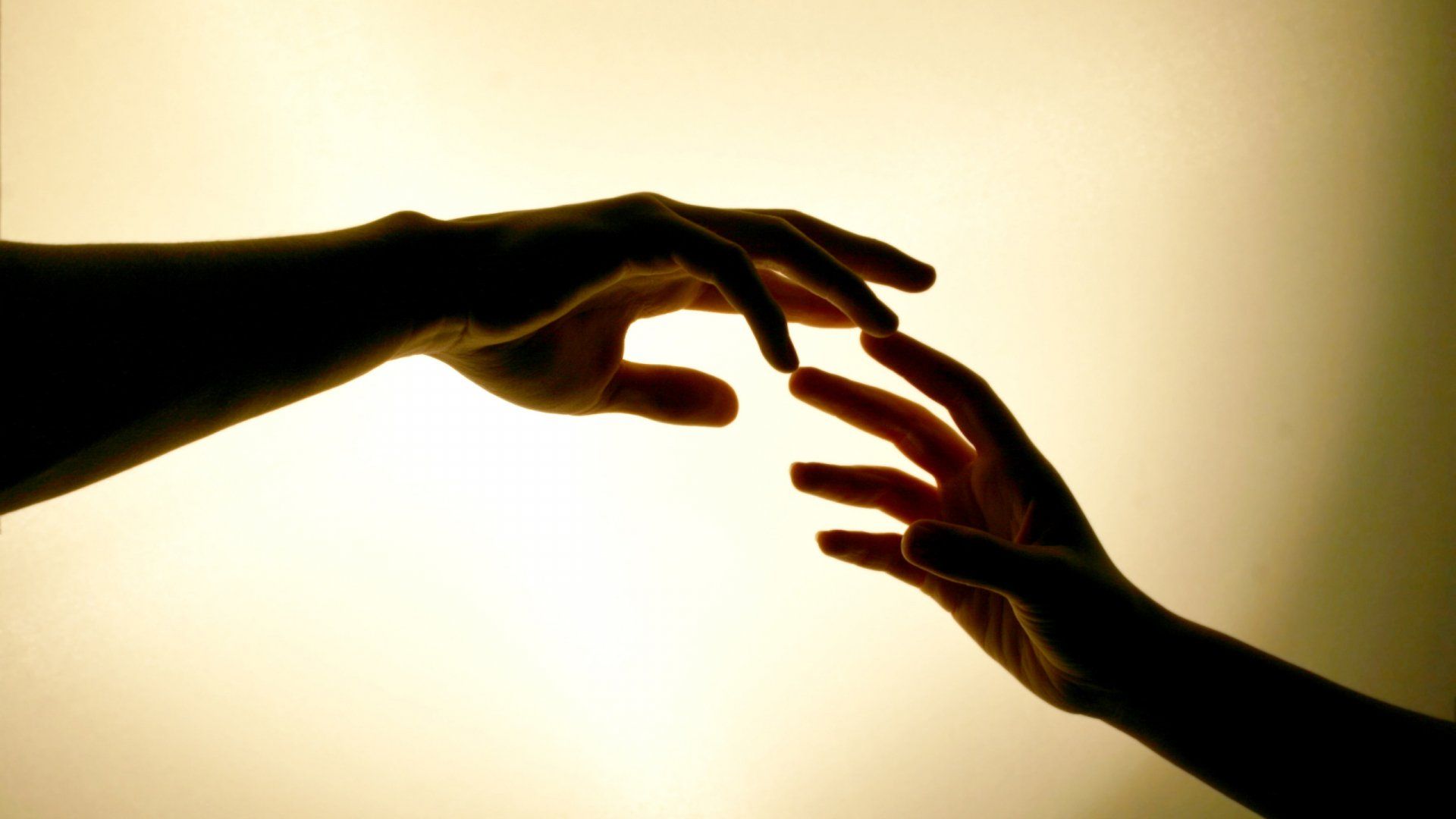 1920x1080 Touch of Love: Captured Hands in Perfect Harmony HD Wallpaperx1440