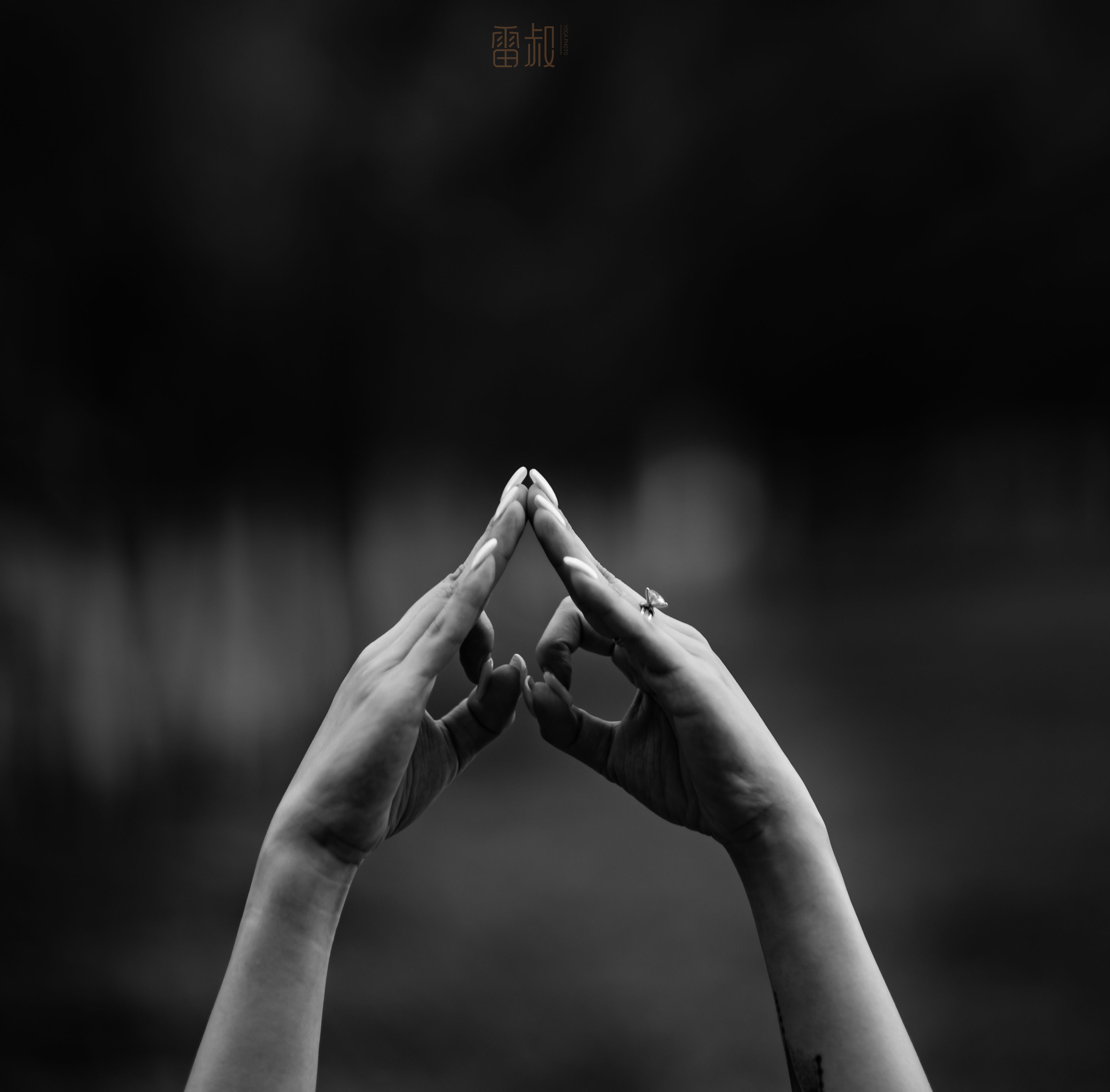 3858x3797 Black and White Photo of Hands Touching at Fingertips · Free