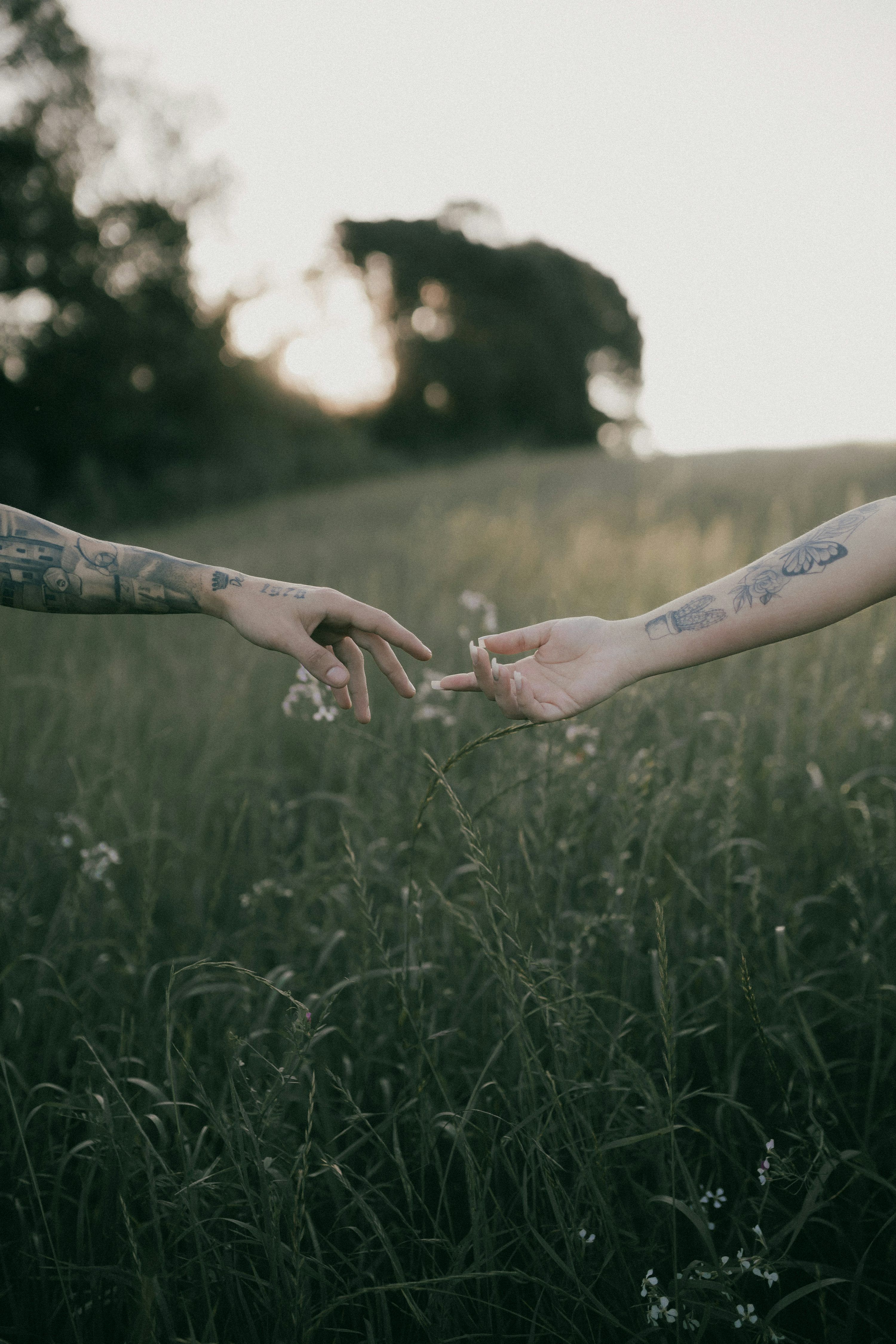 3000x4500 Two people reaching out their hands to touch each other