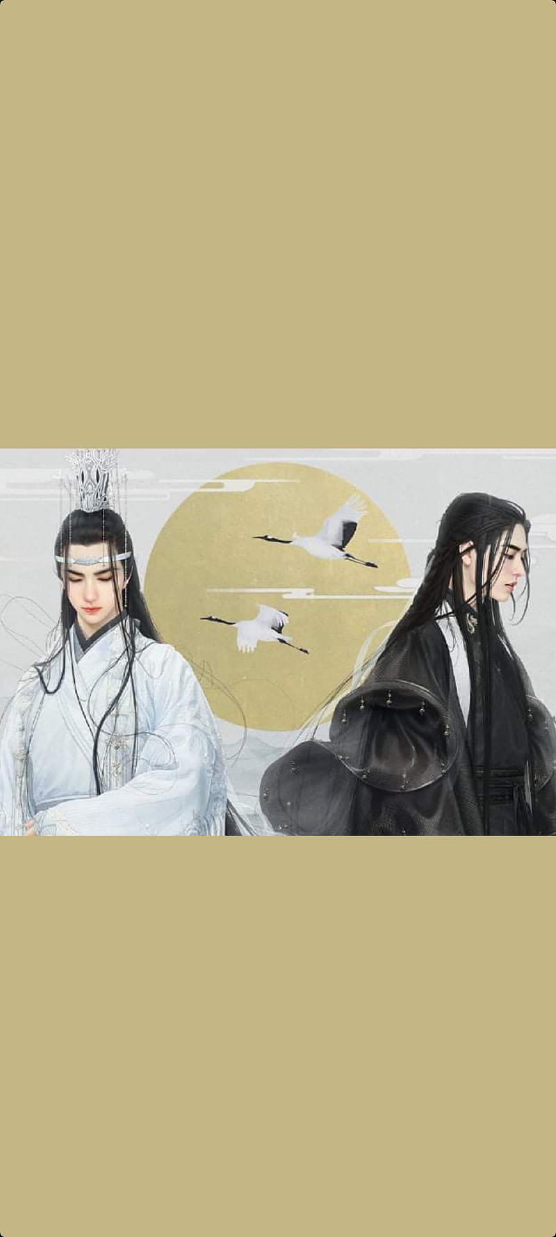 800x1778 The Untamed, bl, chinese, lan zhan, wang yibo, weiwuxian, xiao zhan, HD phone wallpaper