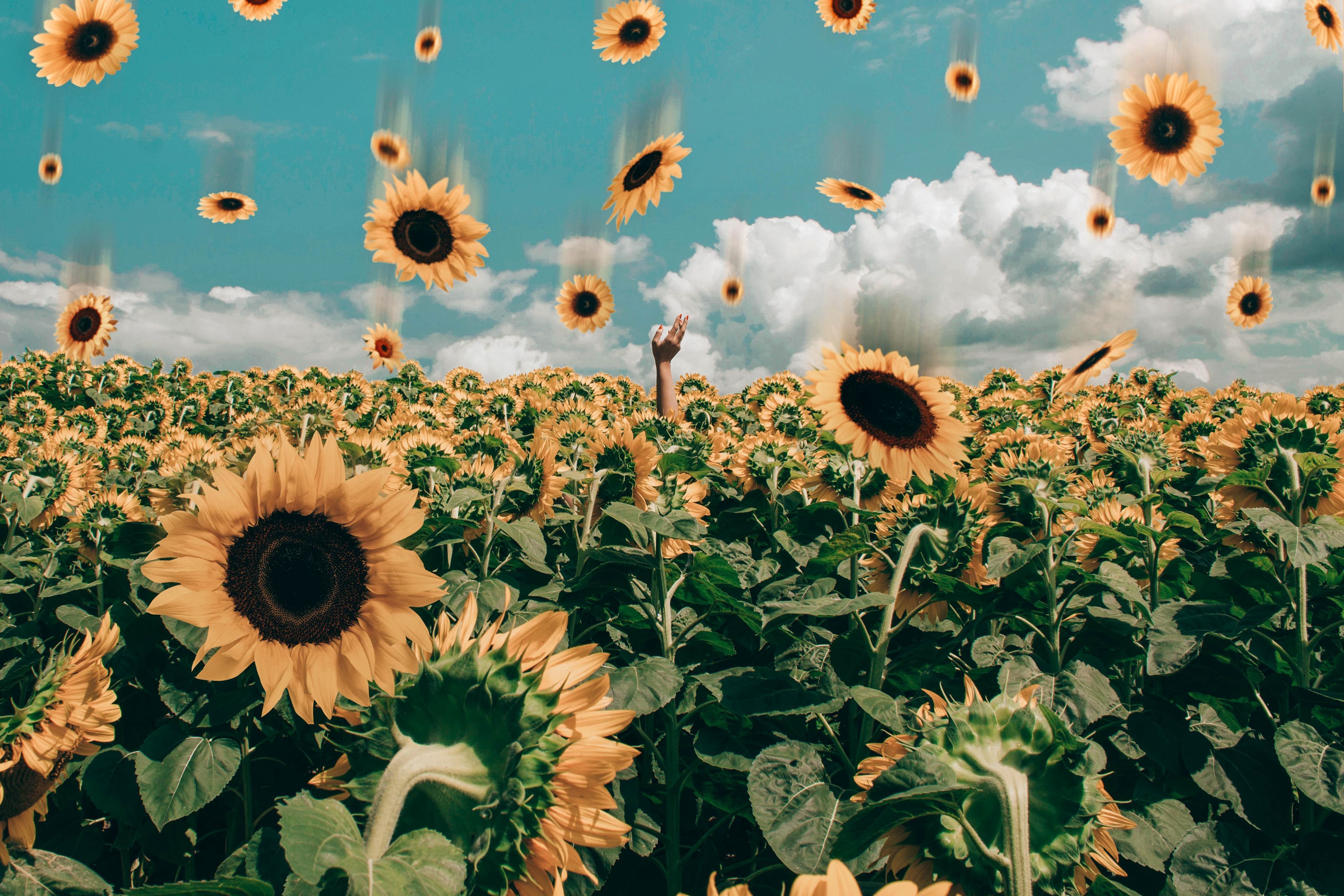 3692x2462 Desktop Wallpaper Yeat Photo, Download The BEST Free Desktop Wallpaper Yeat & HD Image