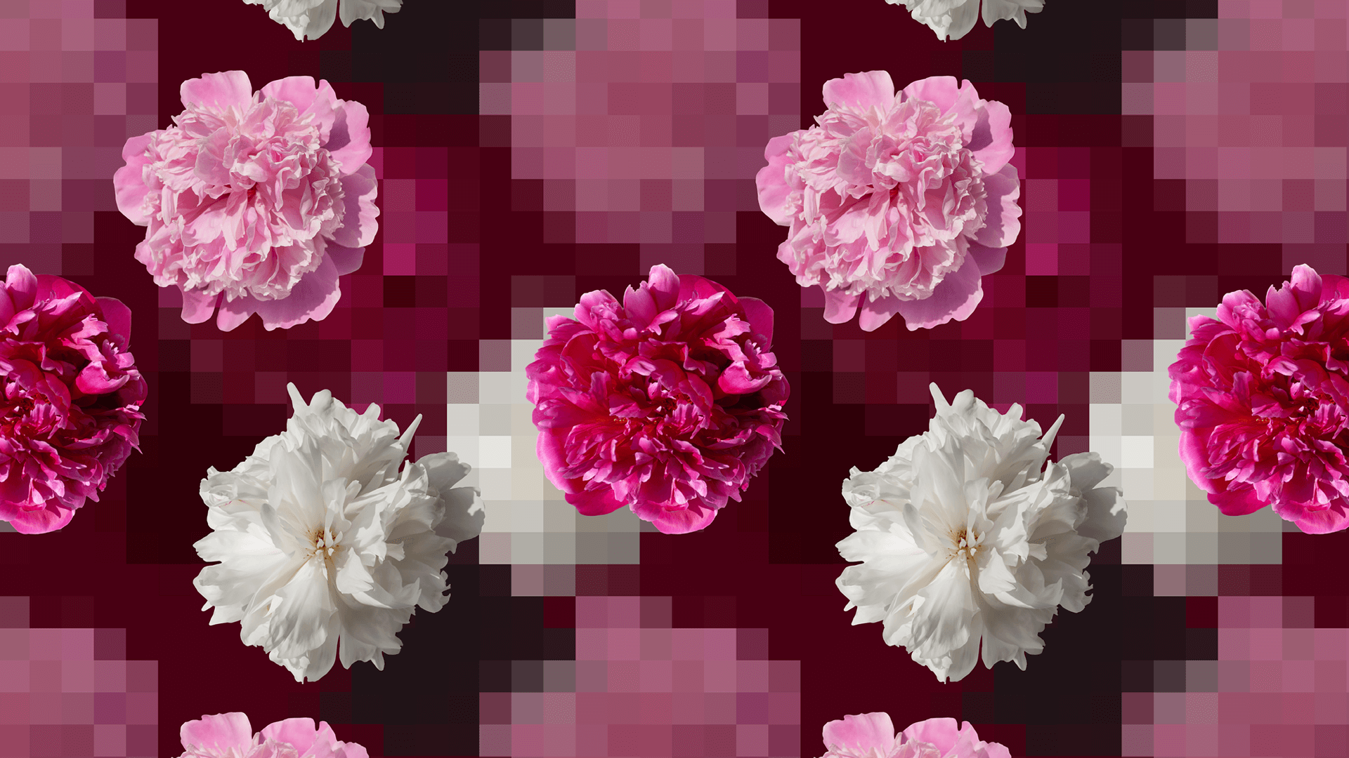 1920x1080 What Are Bitmap Image? A Designer's Guide to Image File Formats