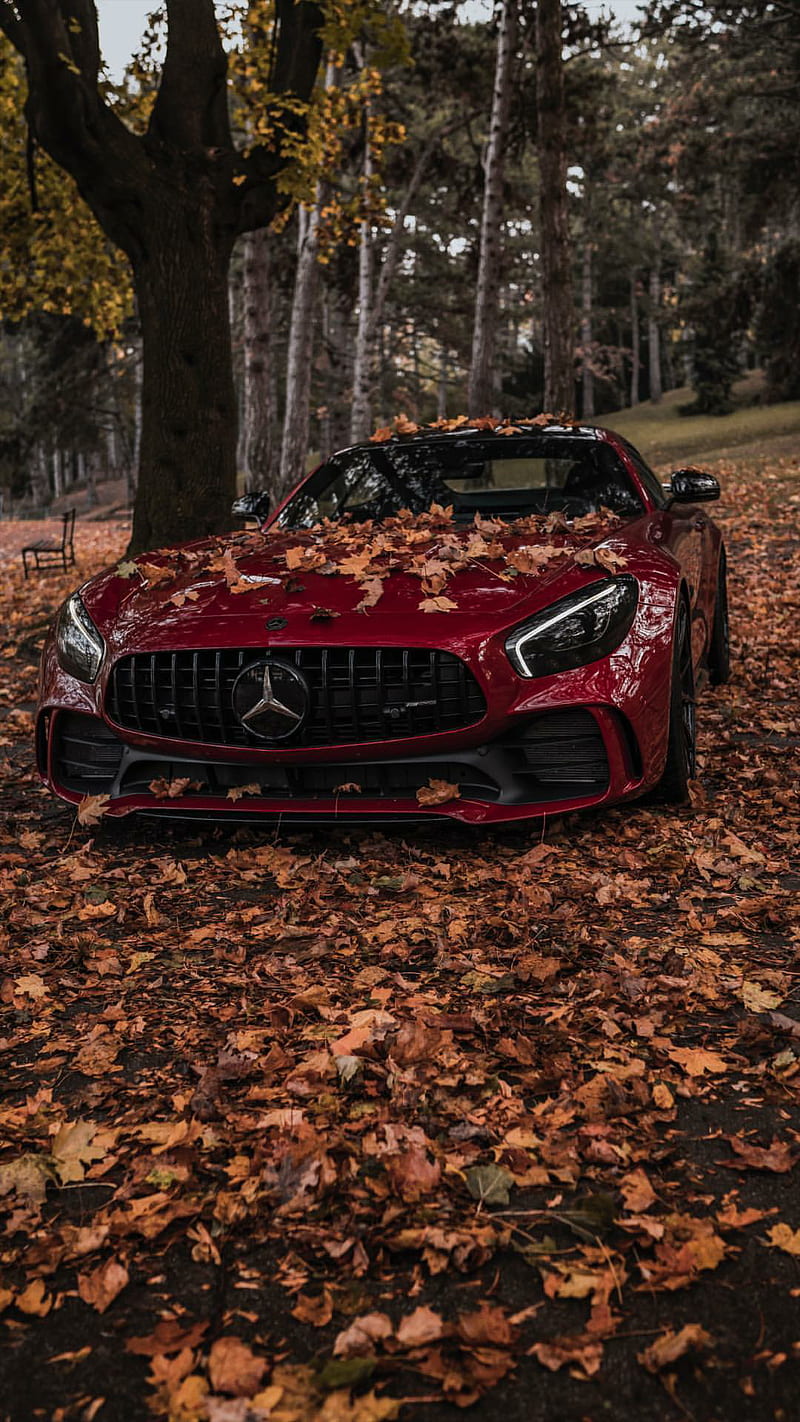 800x1422 HD red mercedes wallpaper