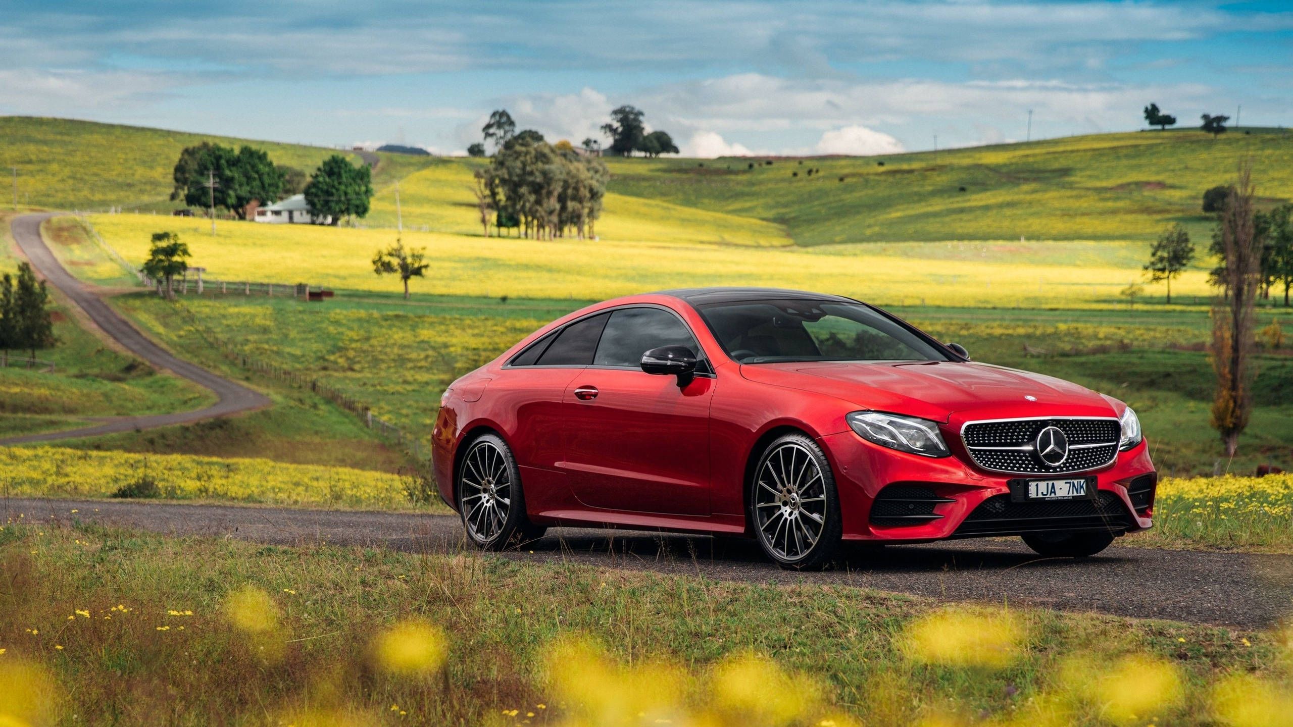 2560x1440 Download Red Mercedes Benz Mountain Side HD Wallpaper